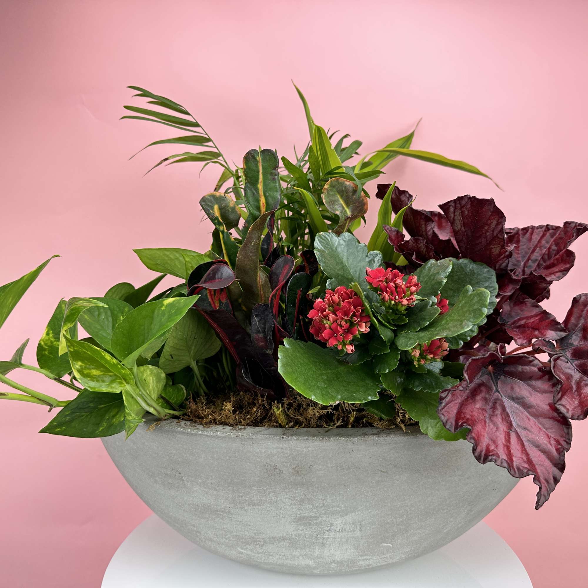 Mixed potted plants in a gray bowl planter with pink flowers