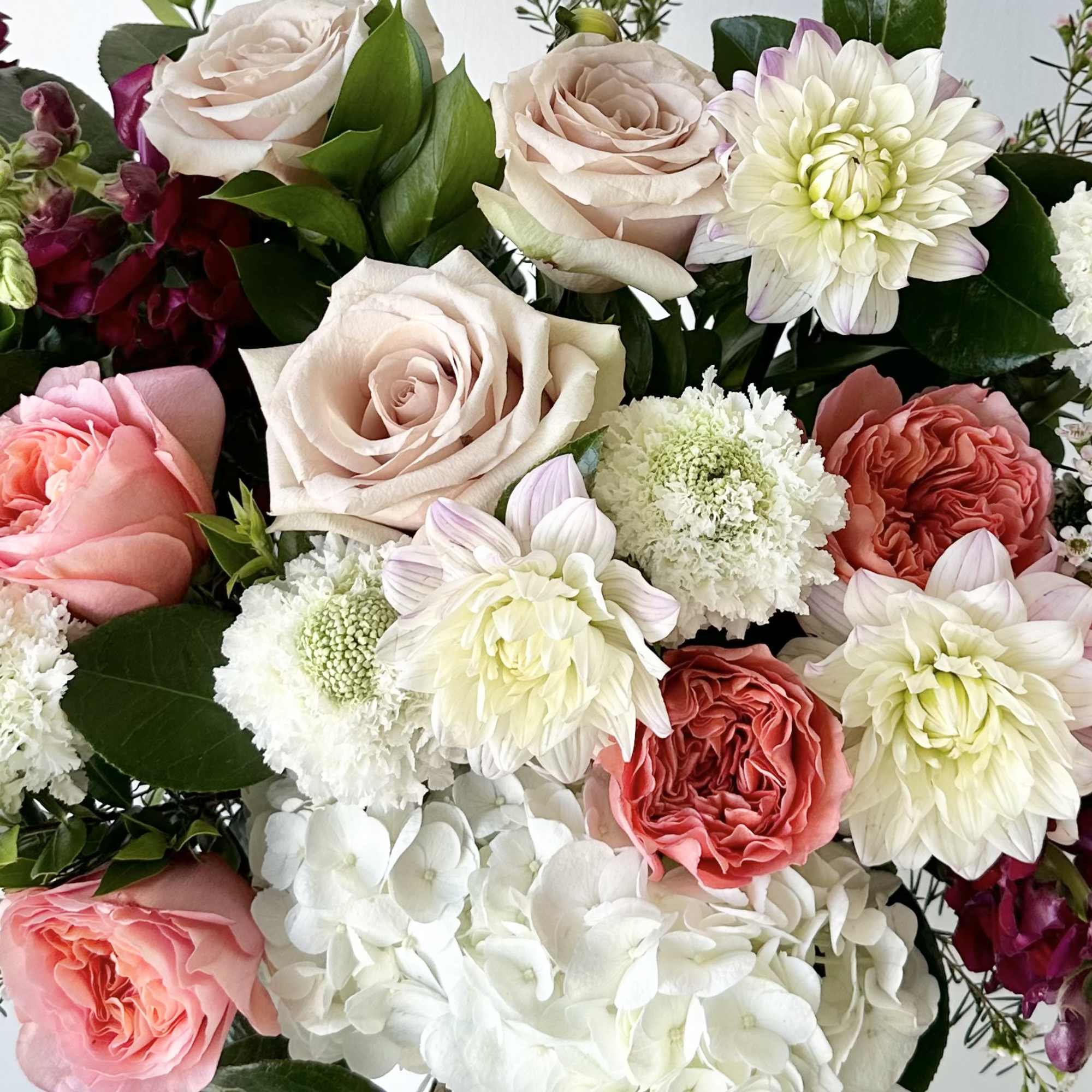 Bouquet of blush and coral roses with white blooms