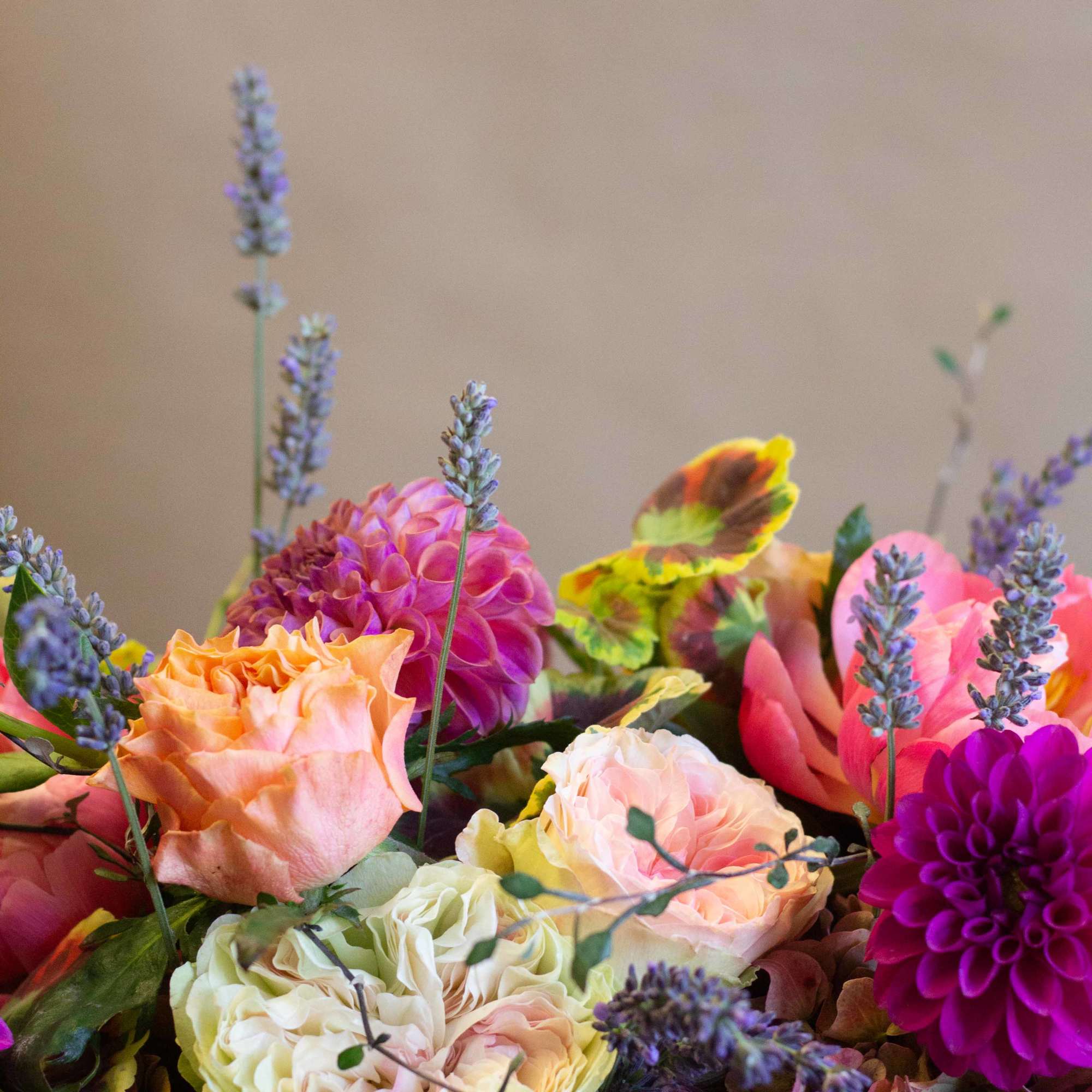 Colorful bouquet of roses and dahlias with lavender spikes