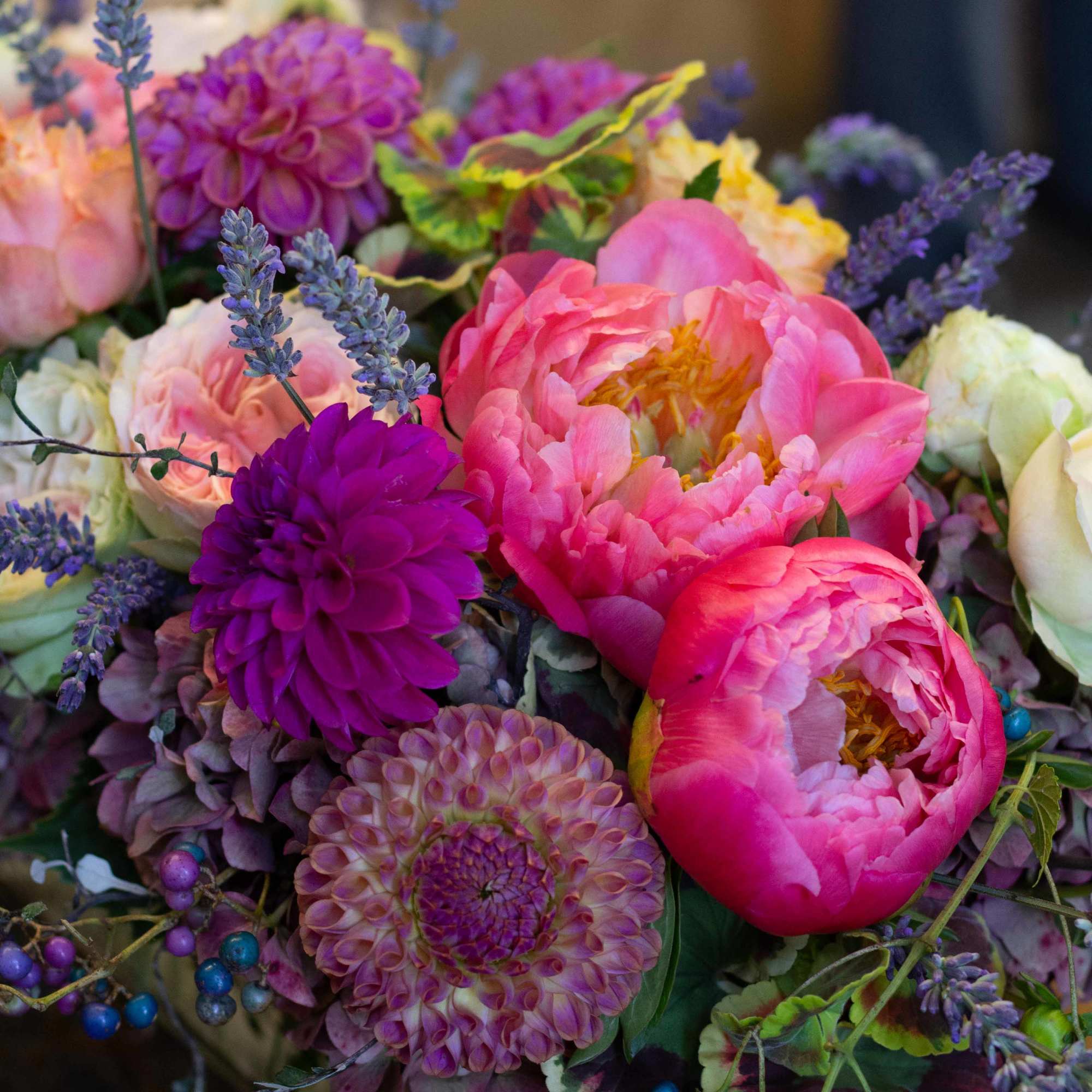Pink peonies and purple dahlias in a low bouquet