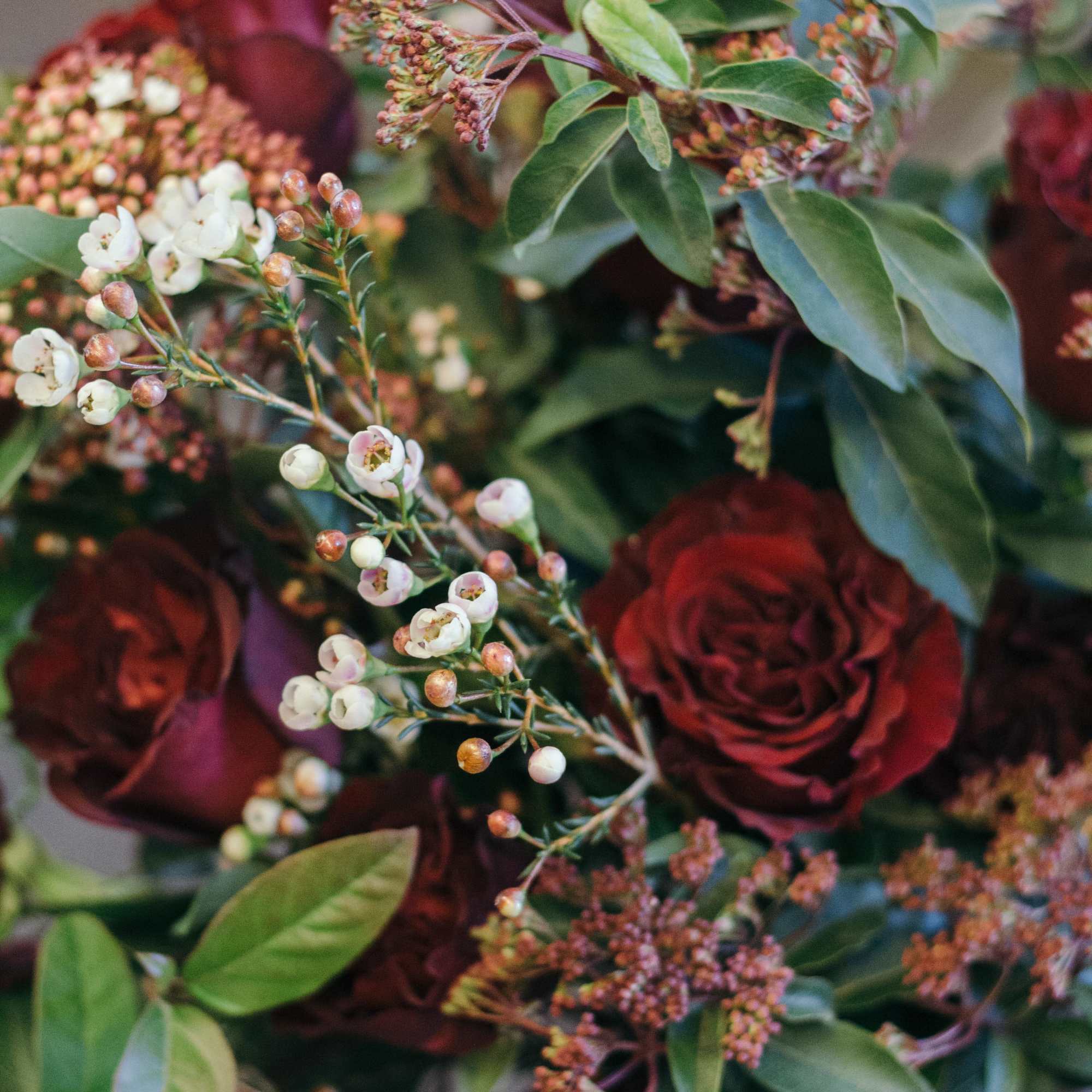 Bouquet of deep red roses with small white blossoms
