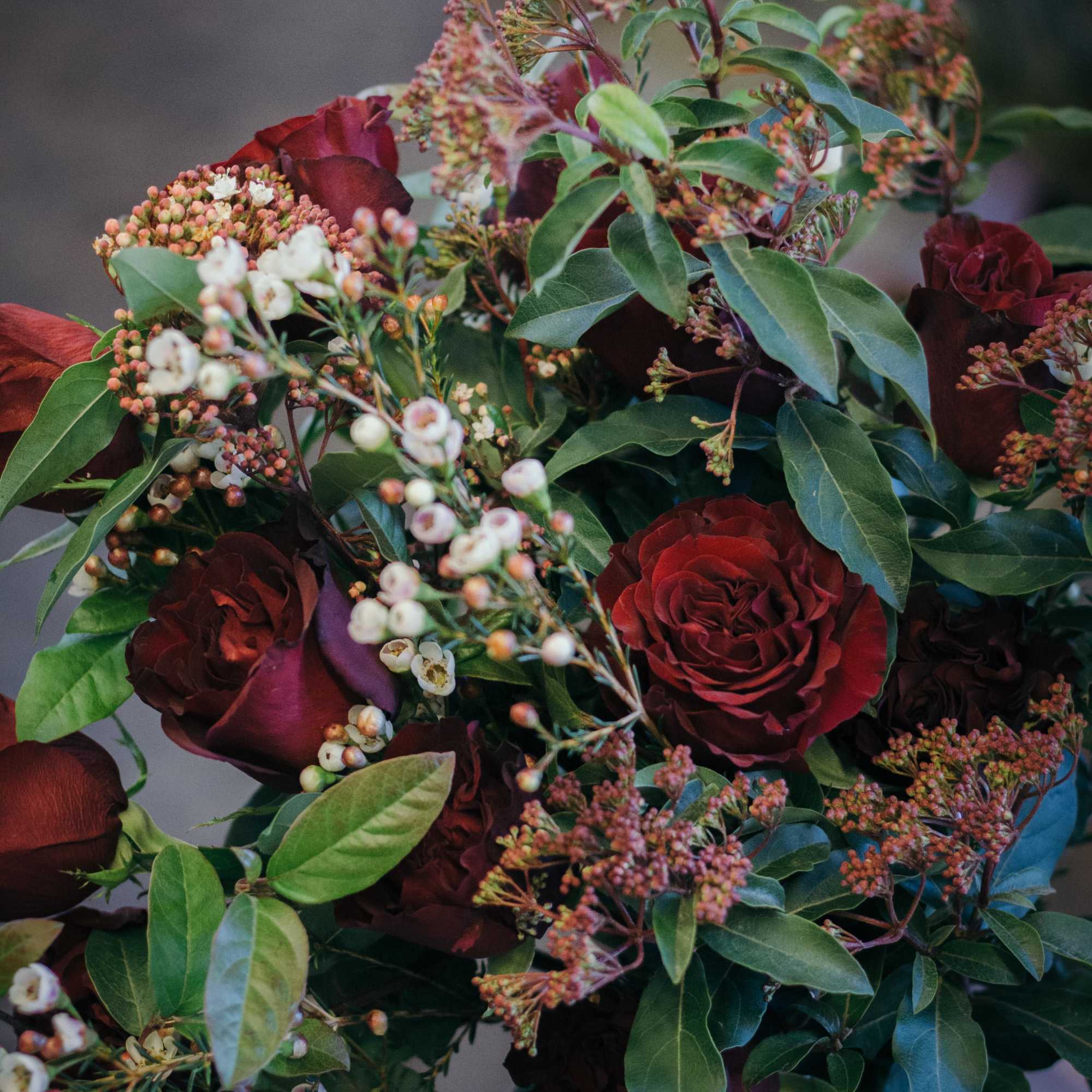 Bouquet of deep red roses with small white filler flowers