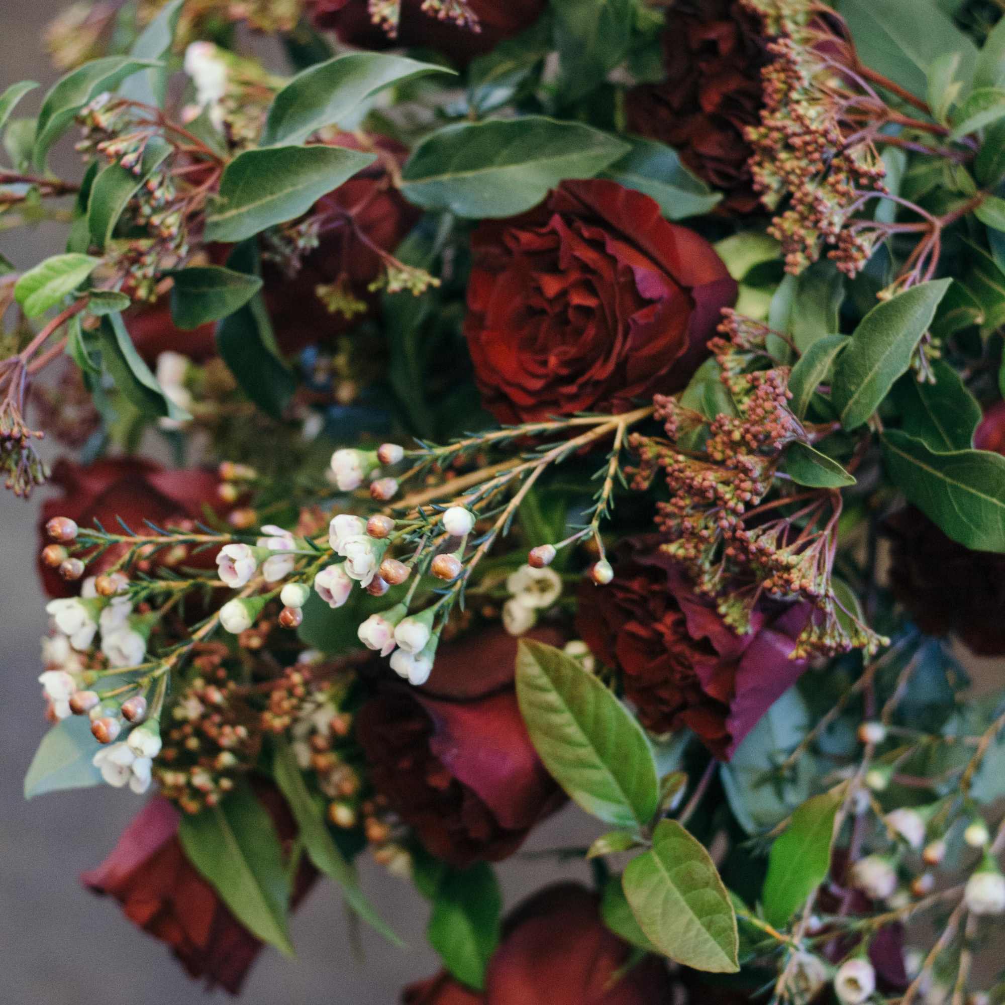 Bouquet of deep red roses with small white blossoms and greenery, photo 5 of 5