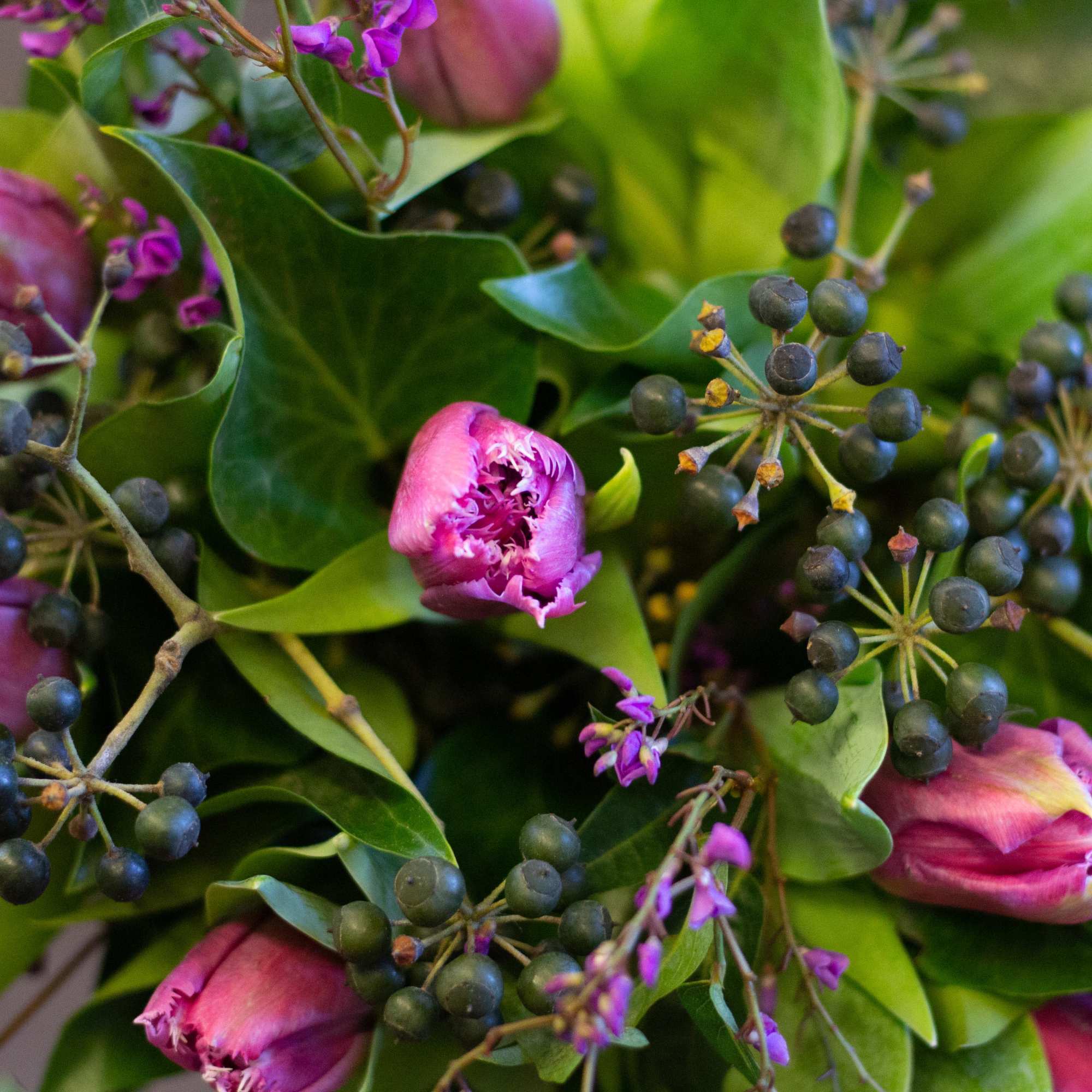 Pink tulips with dark berry clusters and green leaves