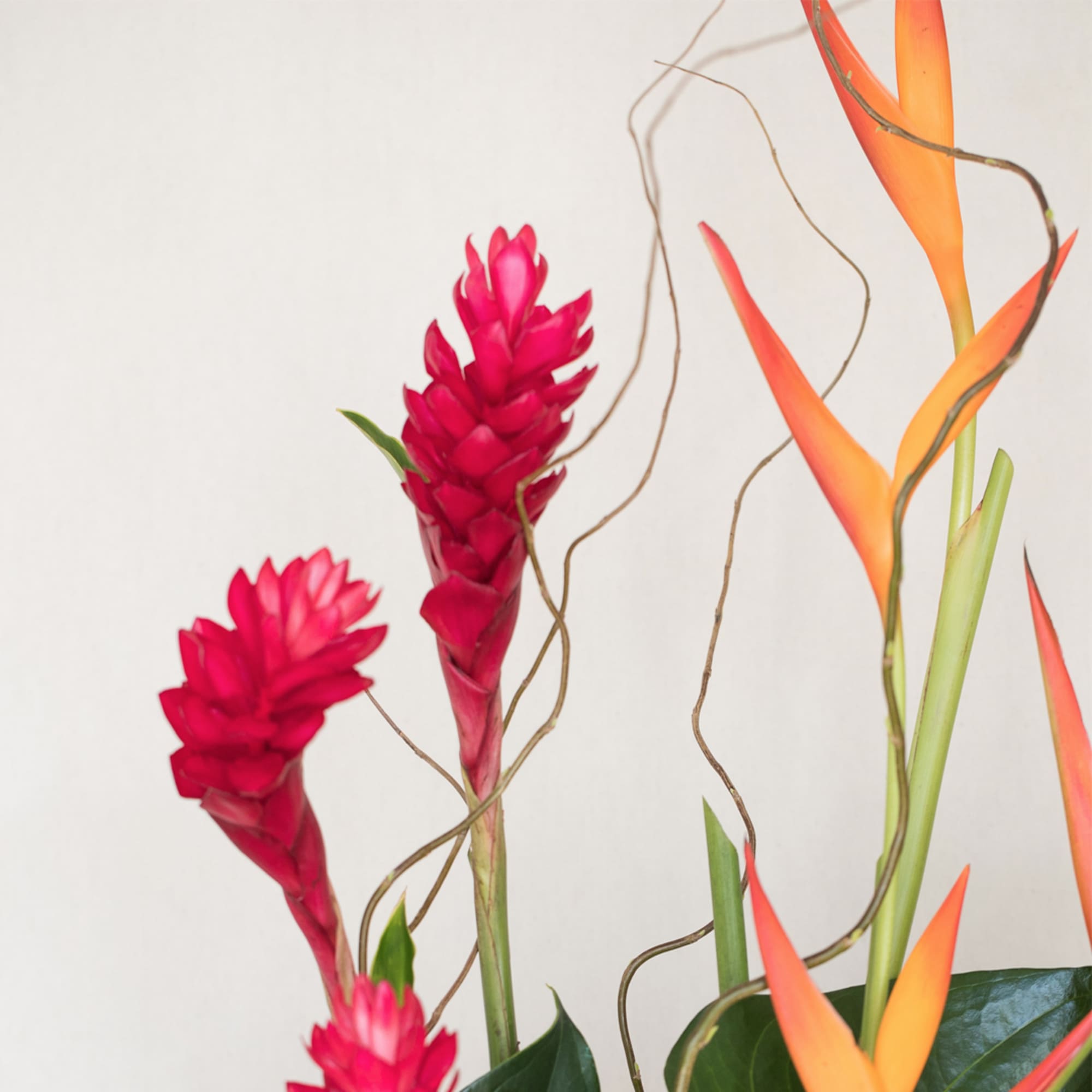 Illuminate any office or home with our vibrant and cheerful tropical flower, photo 6 of 6