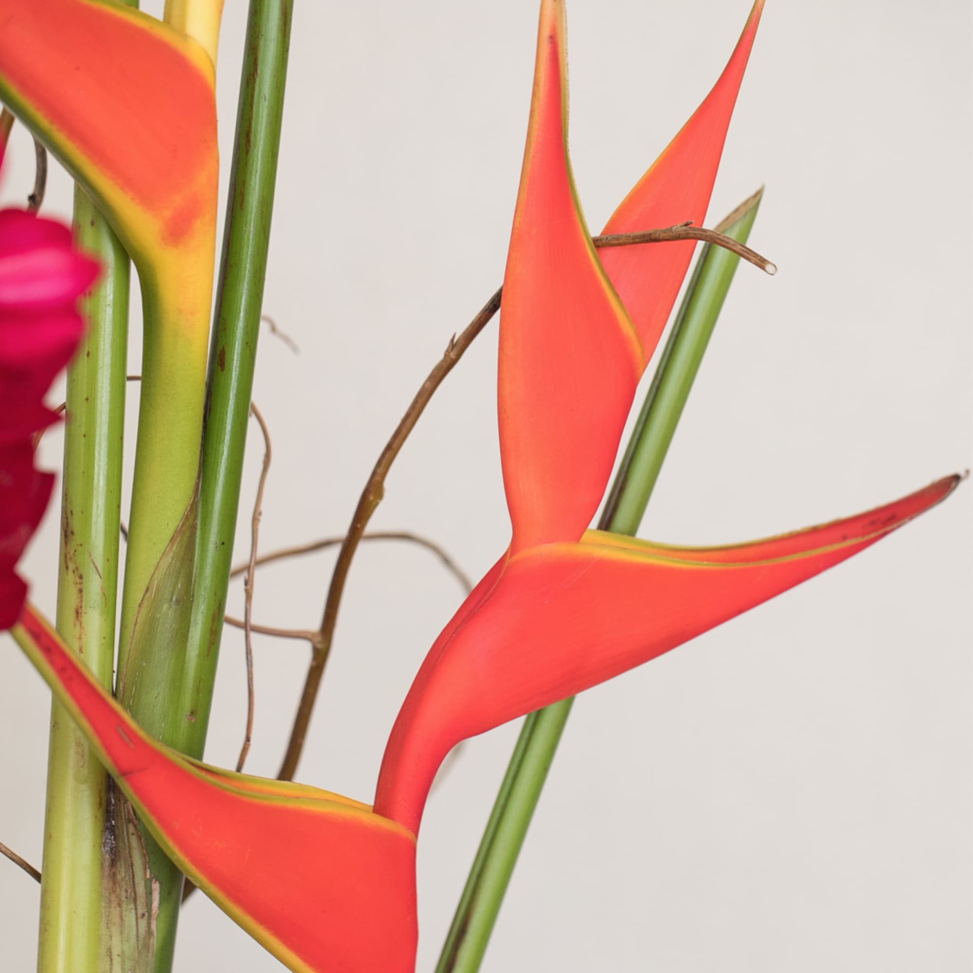 Approximately 35" H x 30" W, this stunning arrangement is filled with, photo 4 of 5