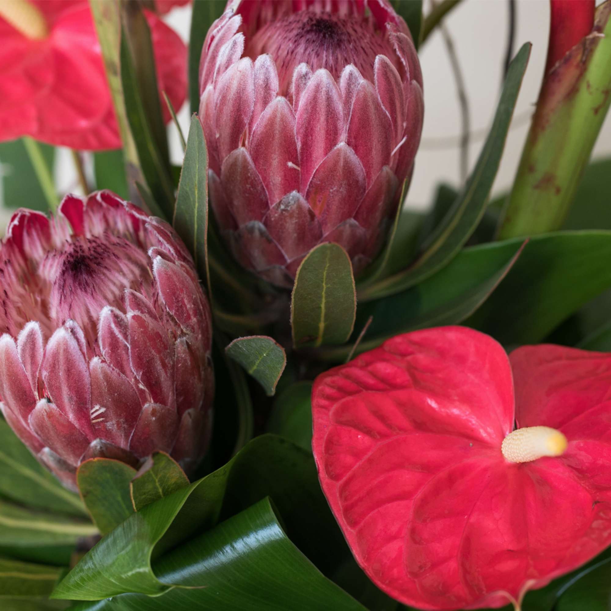 Approximately 35" H x 30" W, this stunning arrangement is filled with, photo 5 of 5