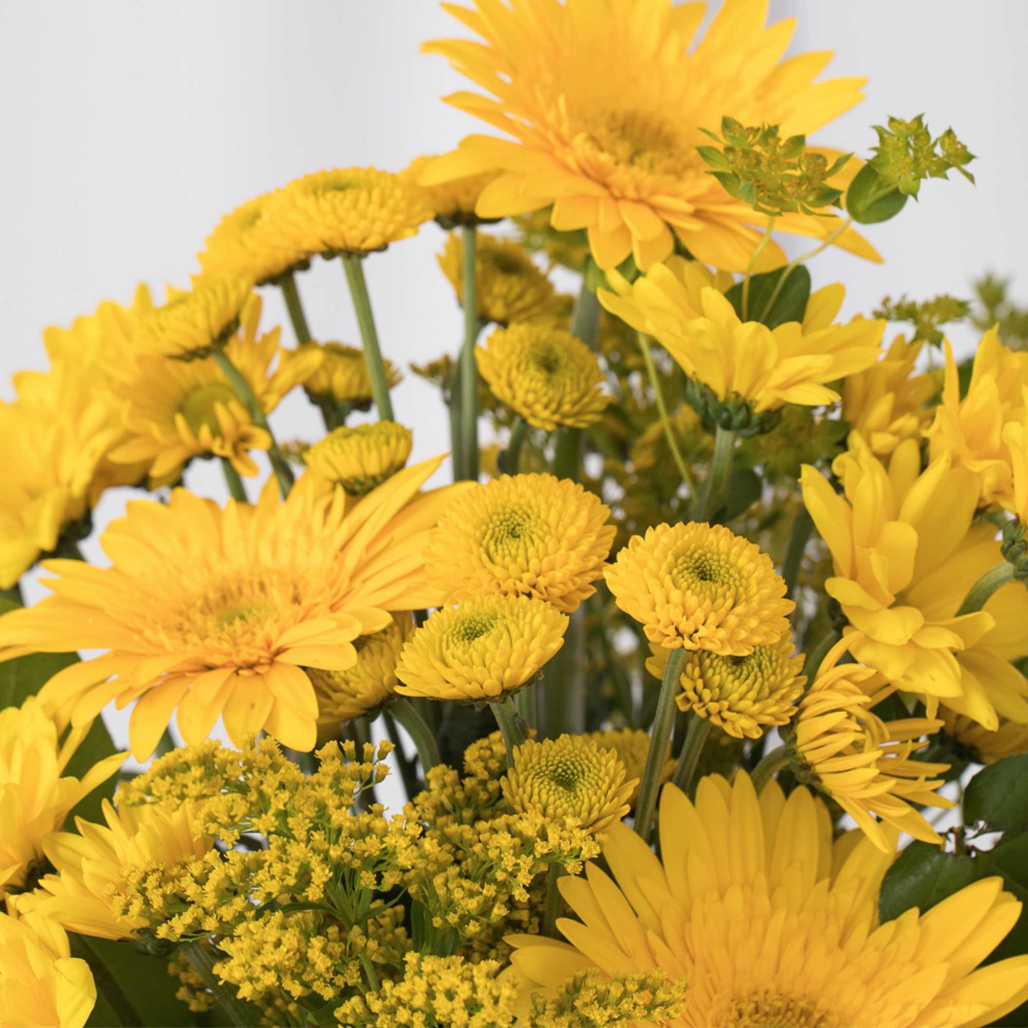 Bright yellow bouquet with gerbera daisies and small button-style blooms