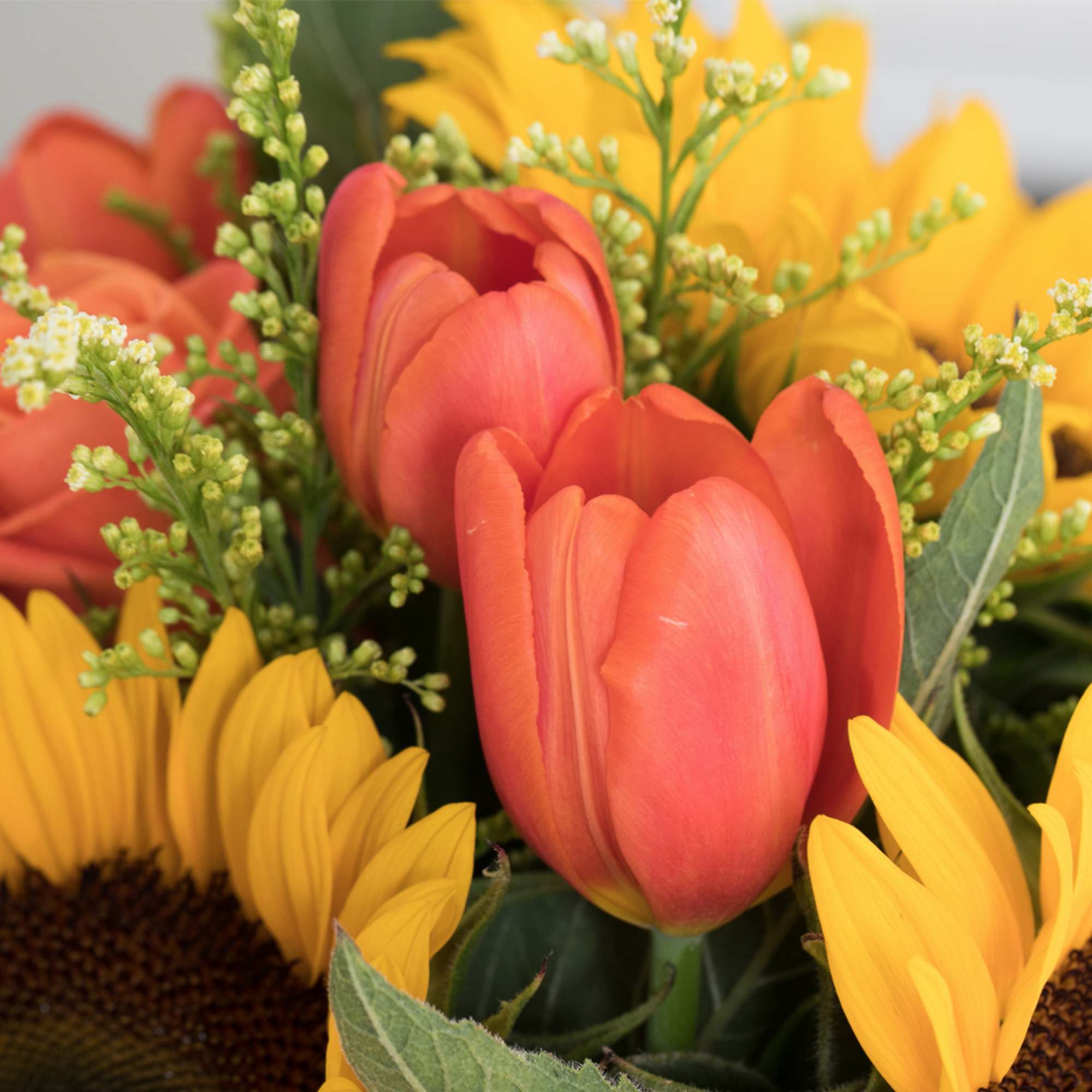 Close-up of orange tulips and yellow sunflowers with small white filler flowers in a mixed arrangement.