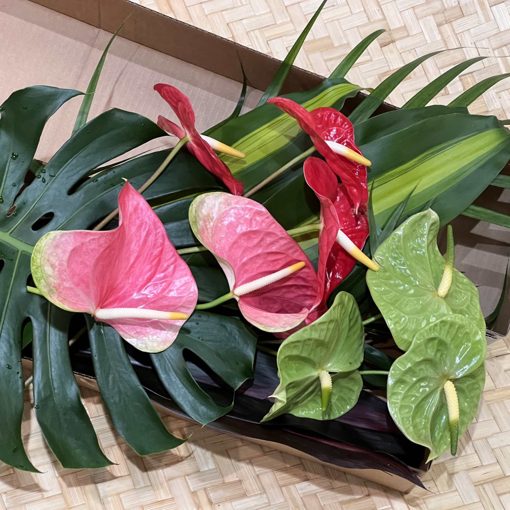 Loose pink, red, and green anthurium stems with large tropical leaves in a shallow cardboard box.