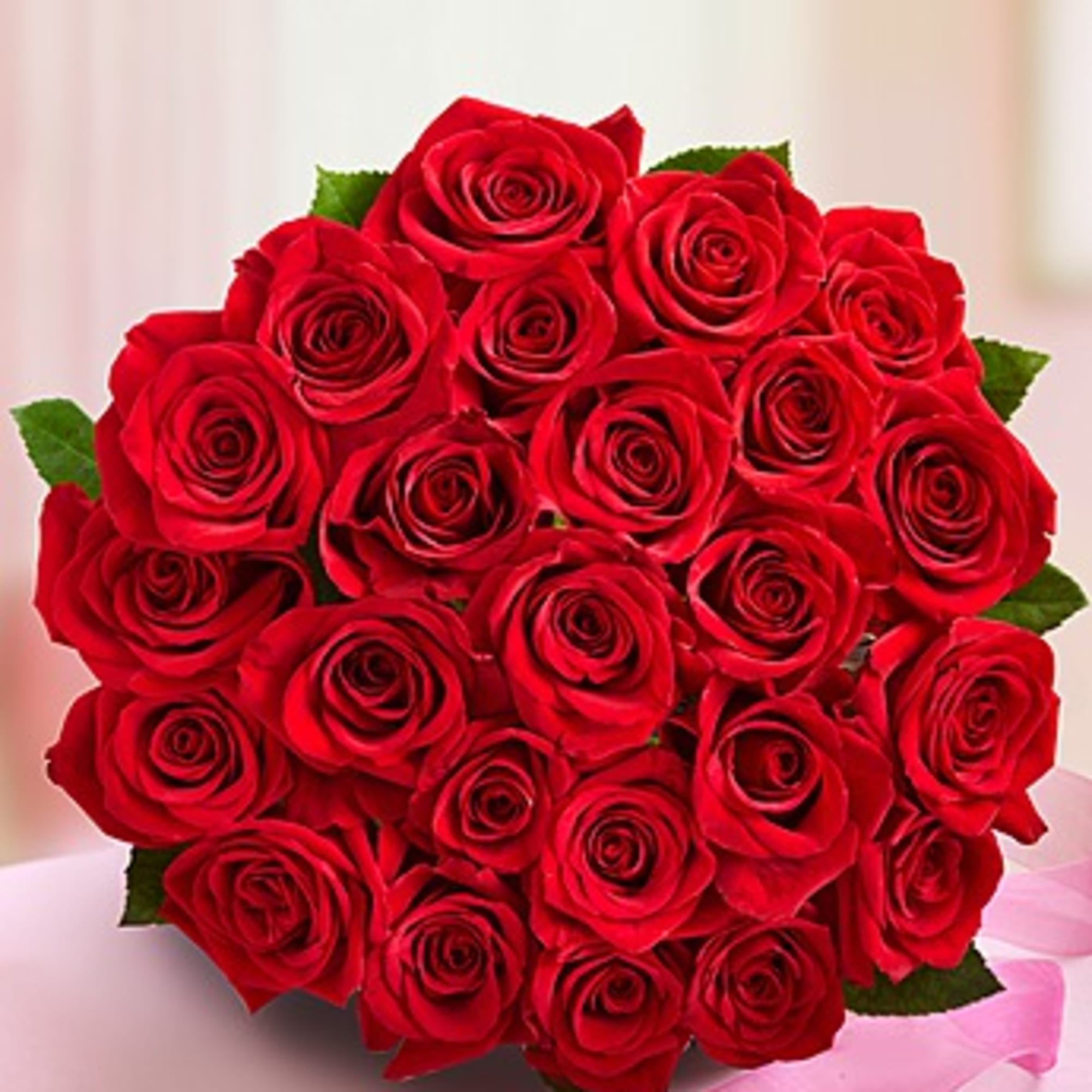 Bouquet of red roses with a pink ribbon