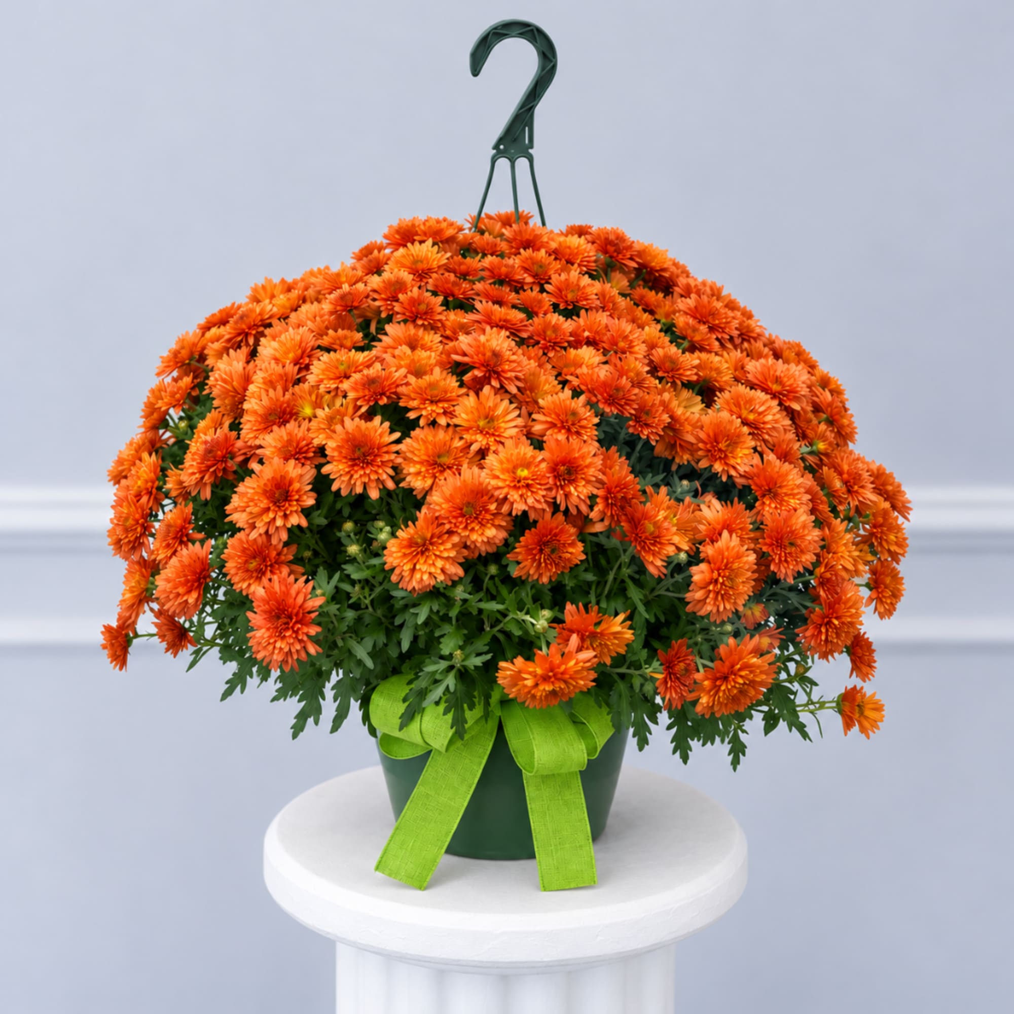 Orange chrysanthemum plant in a green hanging pot with a lime ribbon