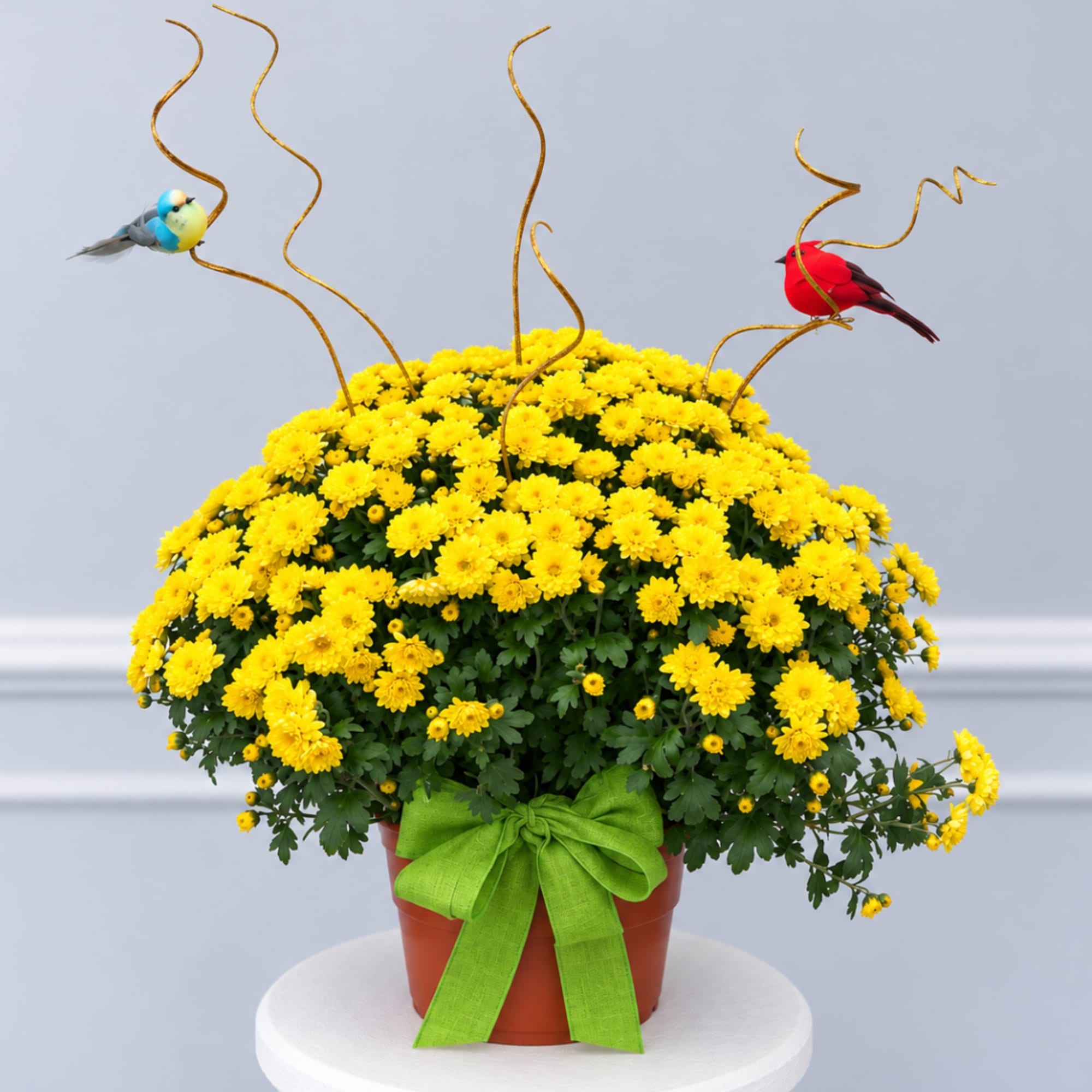 Yellow chrysanthemum plant in a pot with a green bow and bird decorations