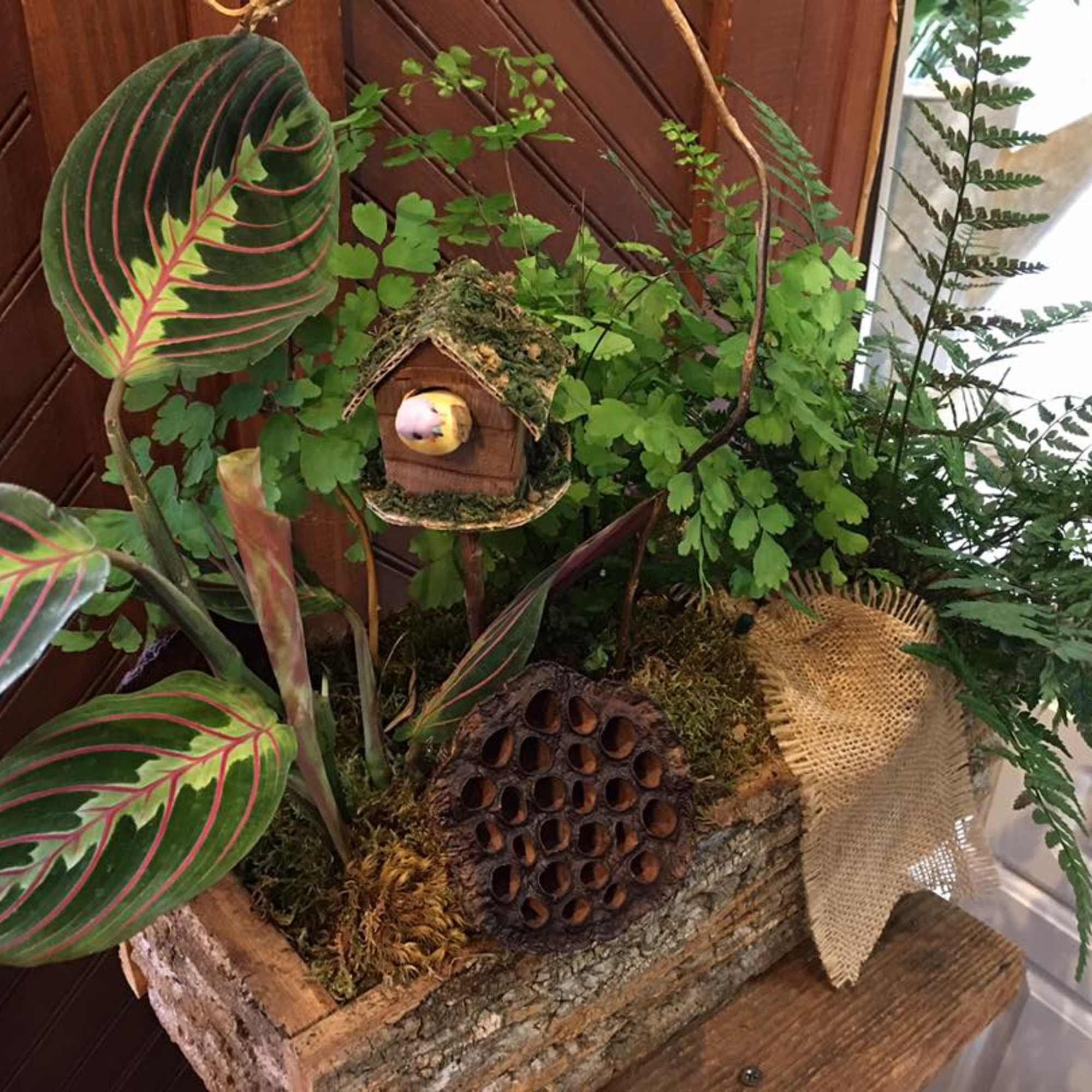 Potted plant arrangement with fern, prayer plant, and a small birdhouse