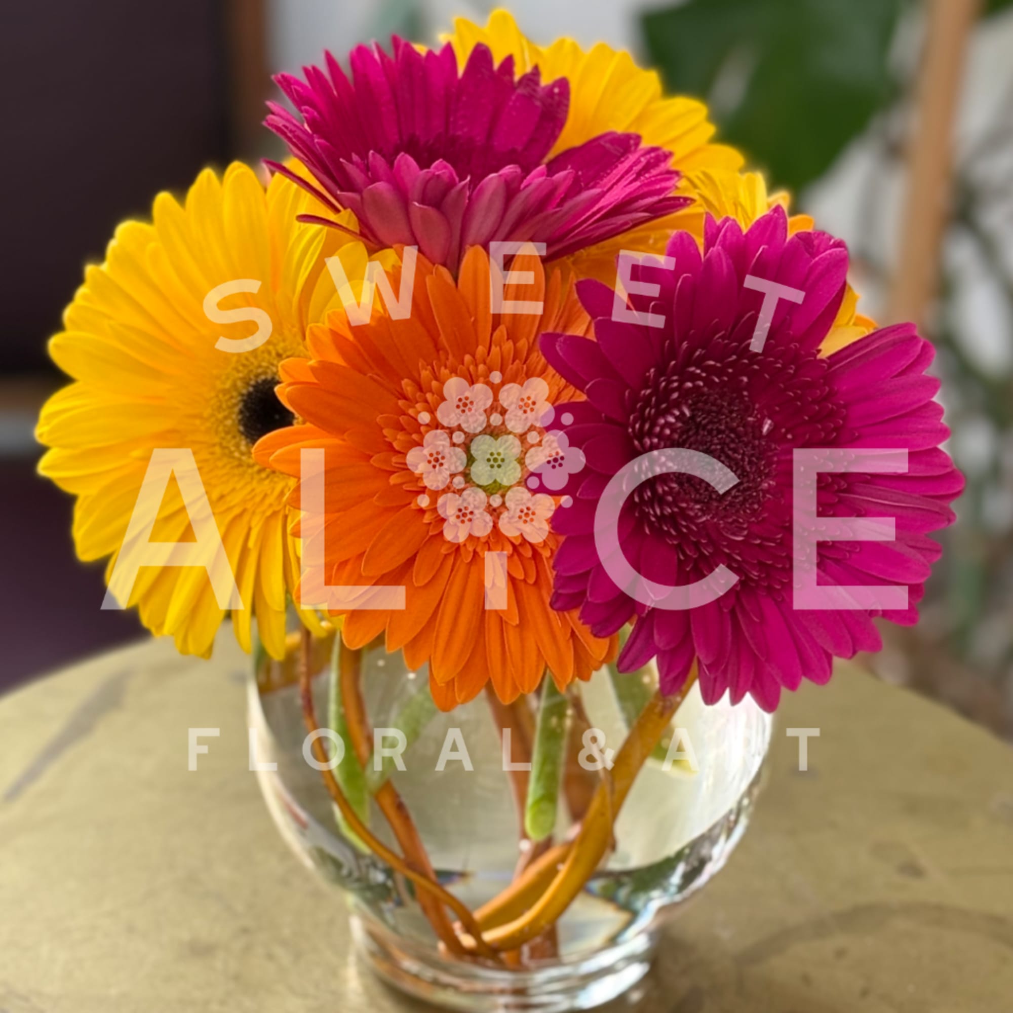 Gerbera daisies in yellow, orange, and magenta arranged in a clear glass vase