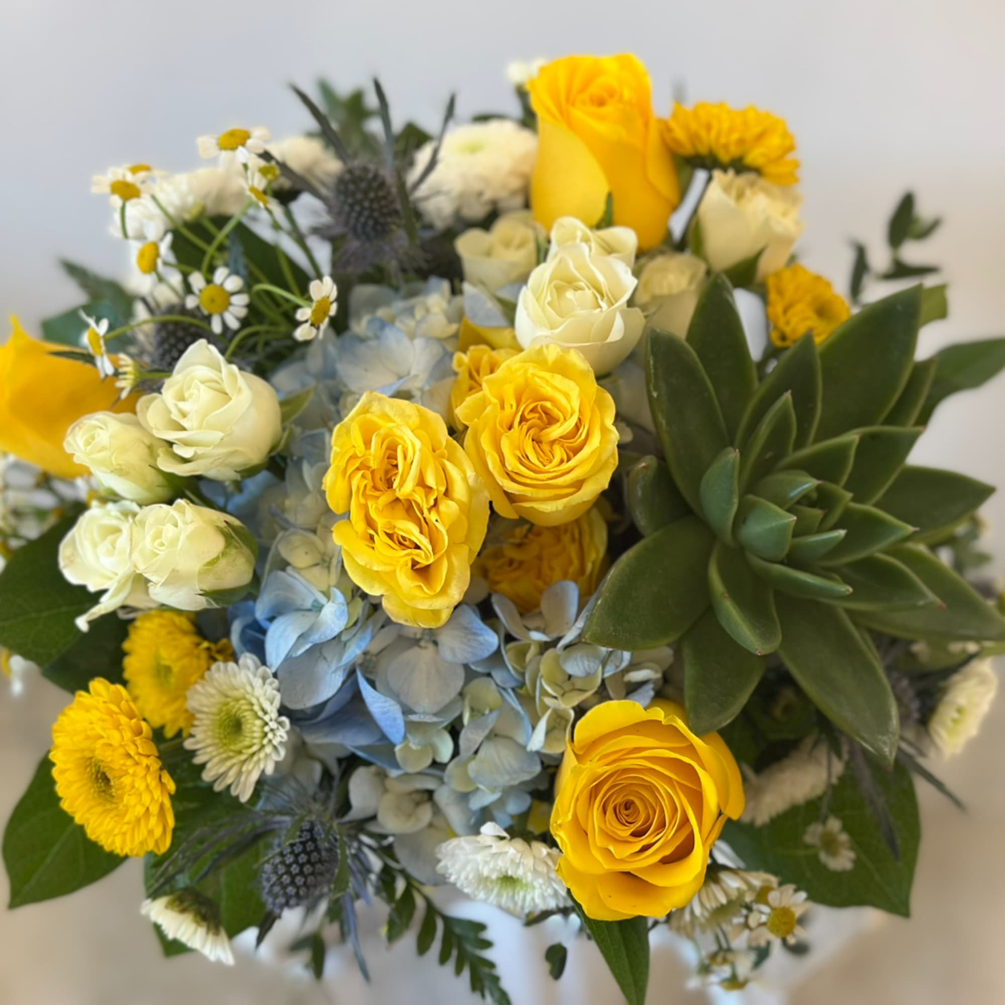Yellow and white roses with blue hydrangea in a bouquet with a succulent