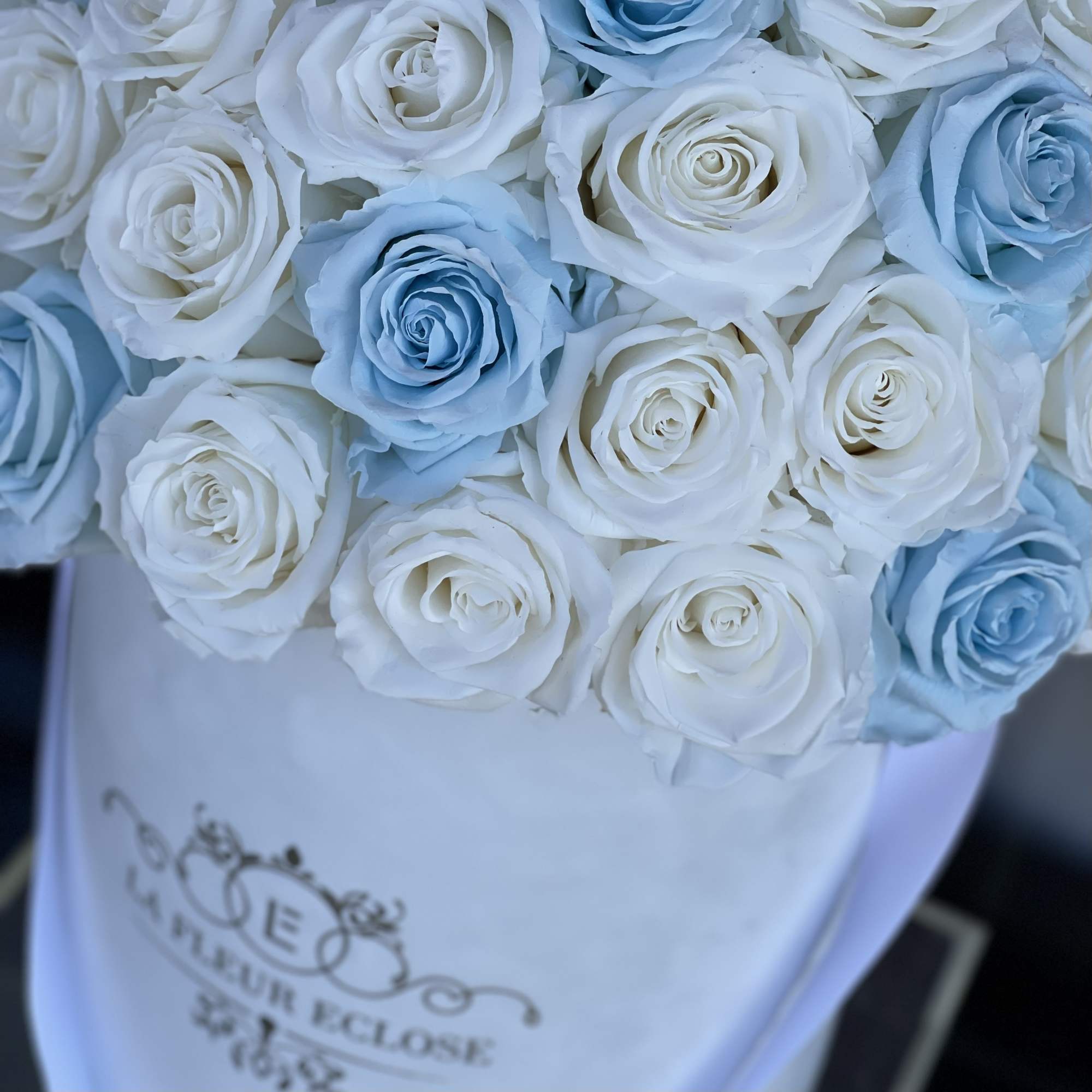 Bouquet of white and light blue roses in a white box