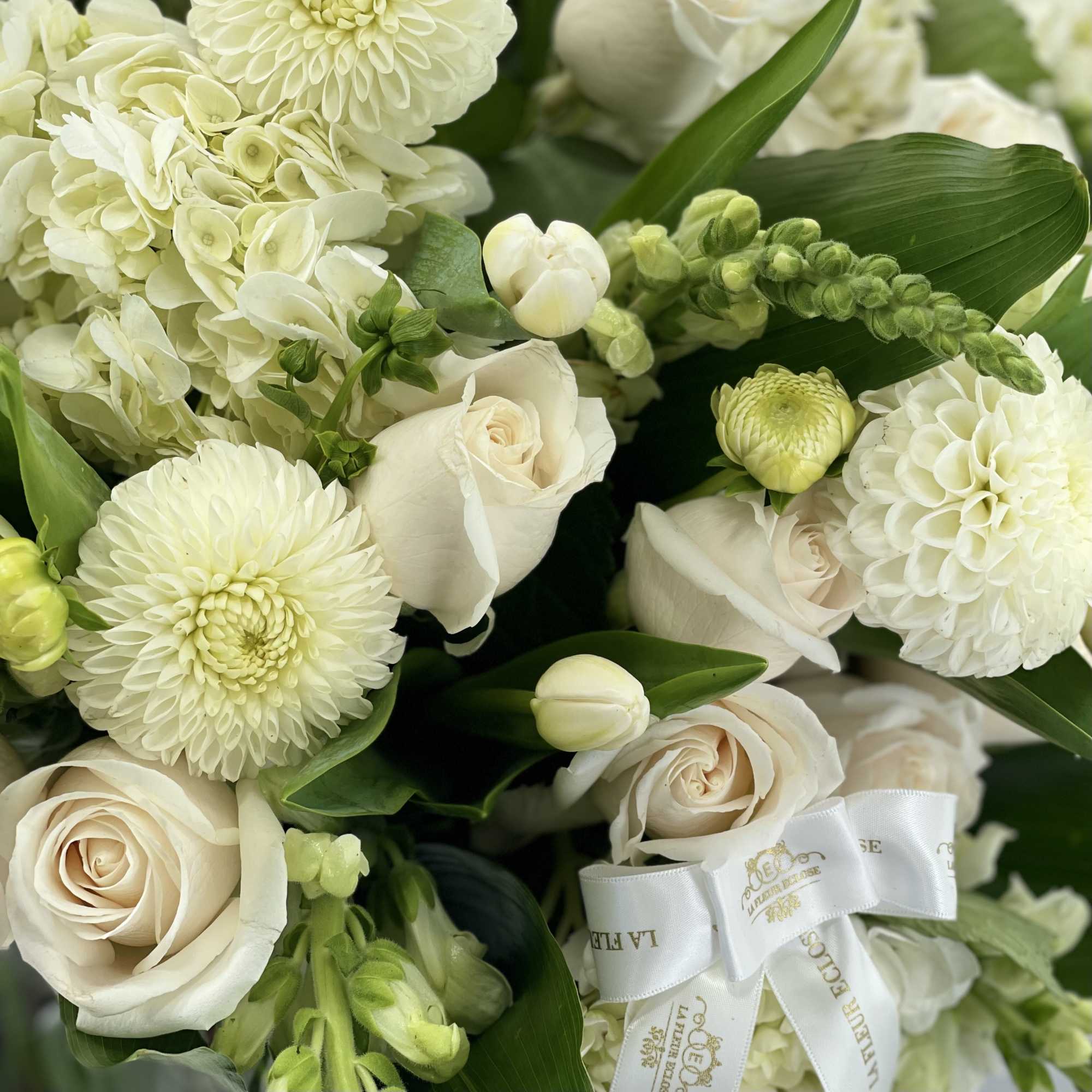 Cream roses and white blooms arranged with green foliage and a white ribbon