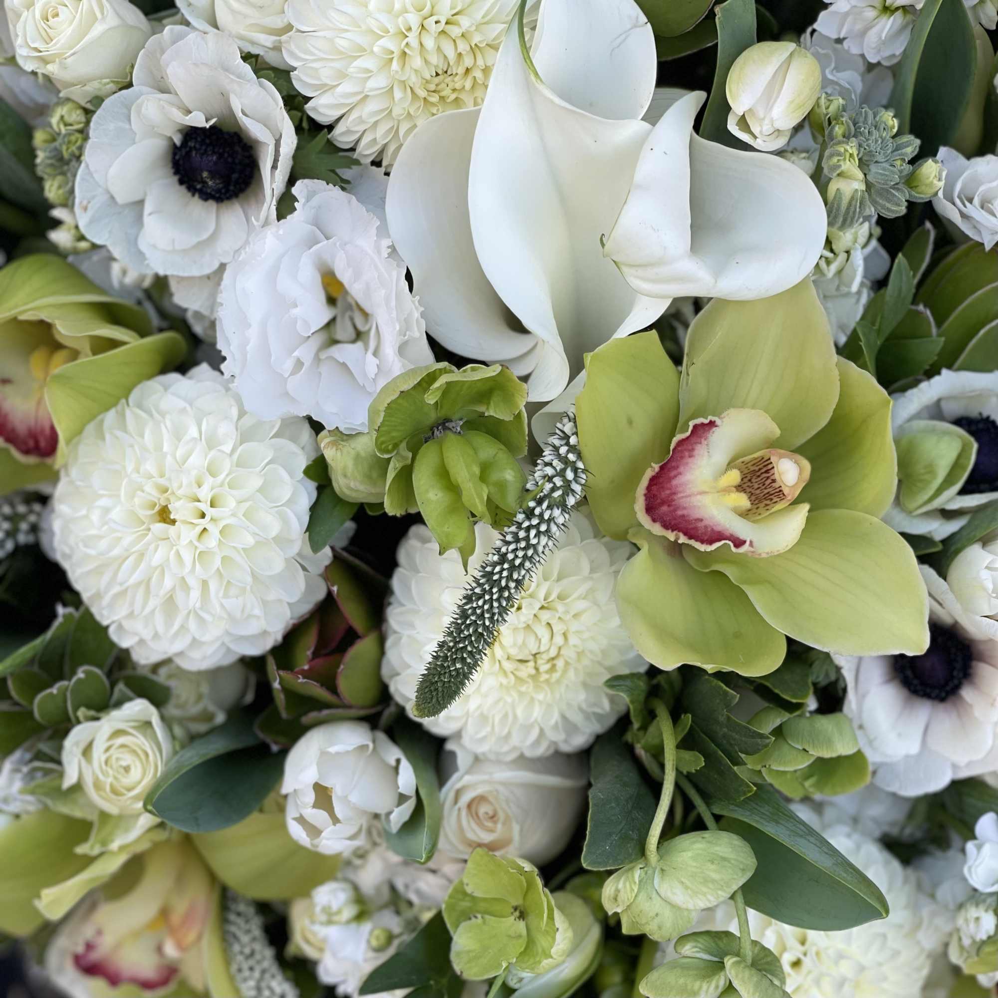 White and green bouquet with calla lilies, orchids, and round blooms
