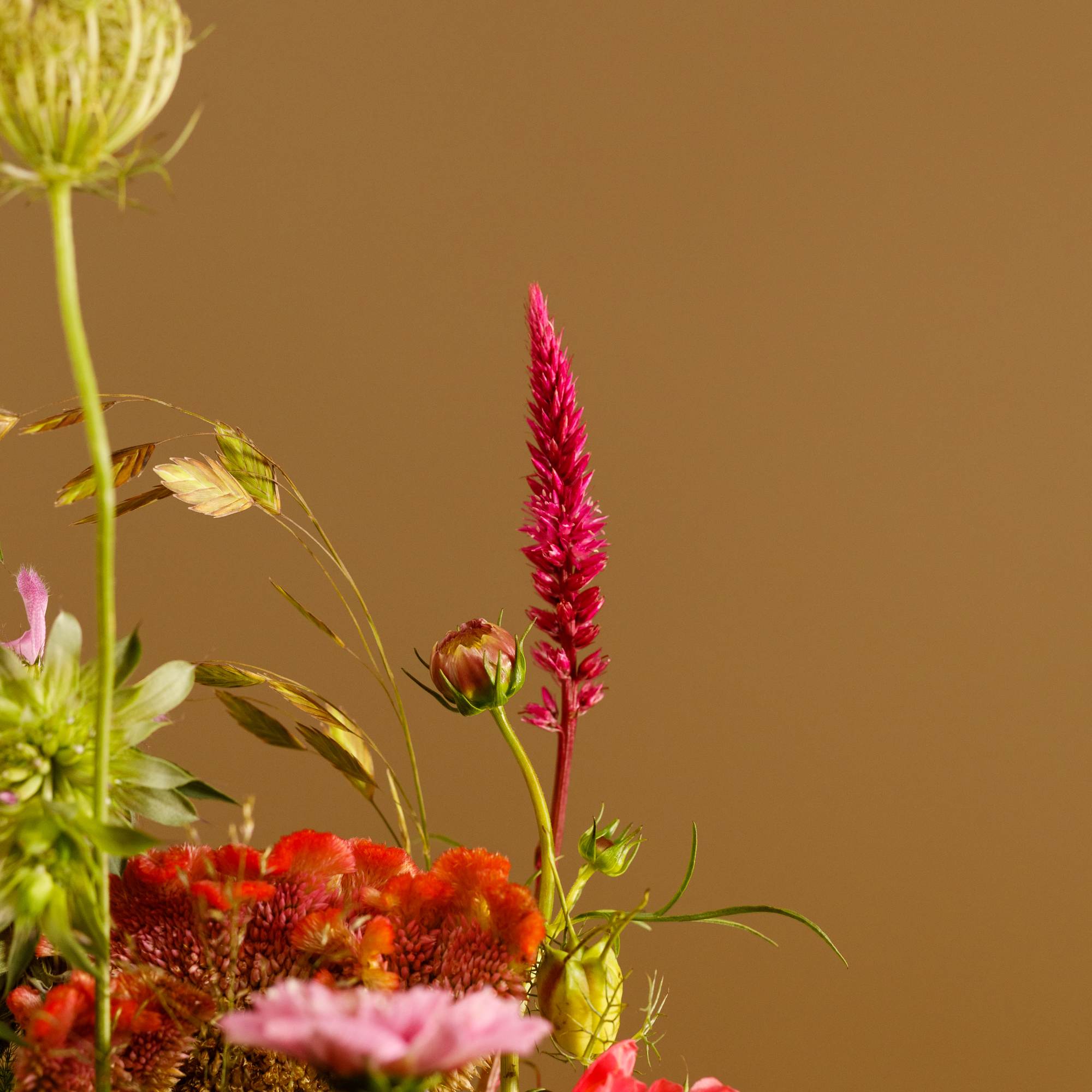 Colorful mixed bouquet with pink, red, and green blooms against a plain tan background