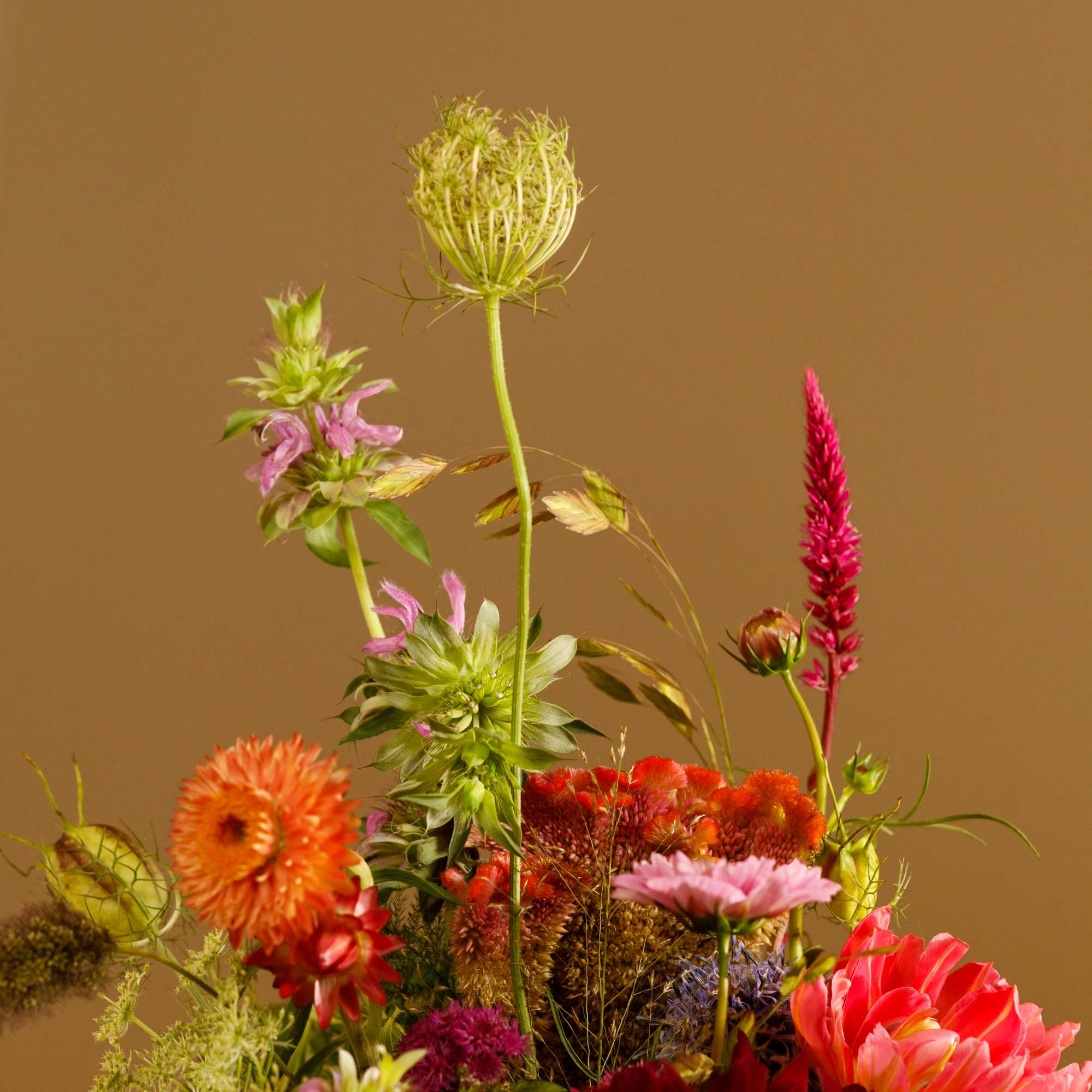 Colorful mixed bouquet with tall green blooms and bright orange, pink, and red flowers