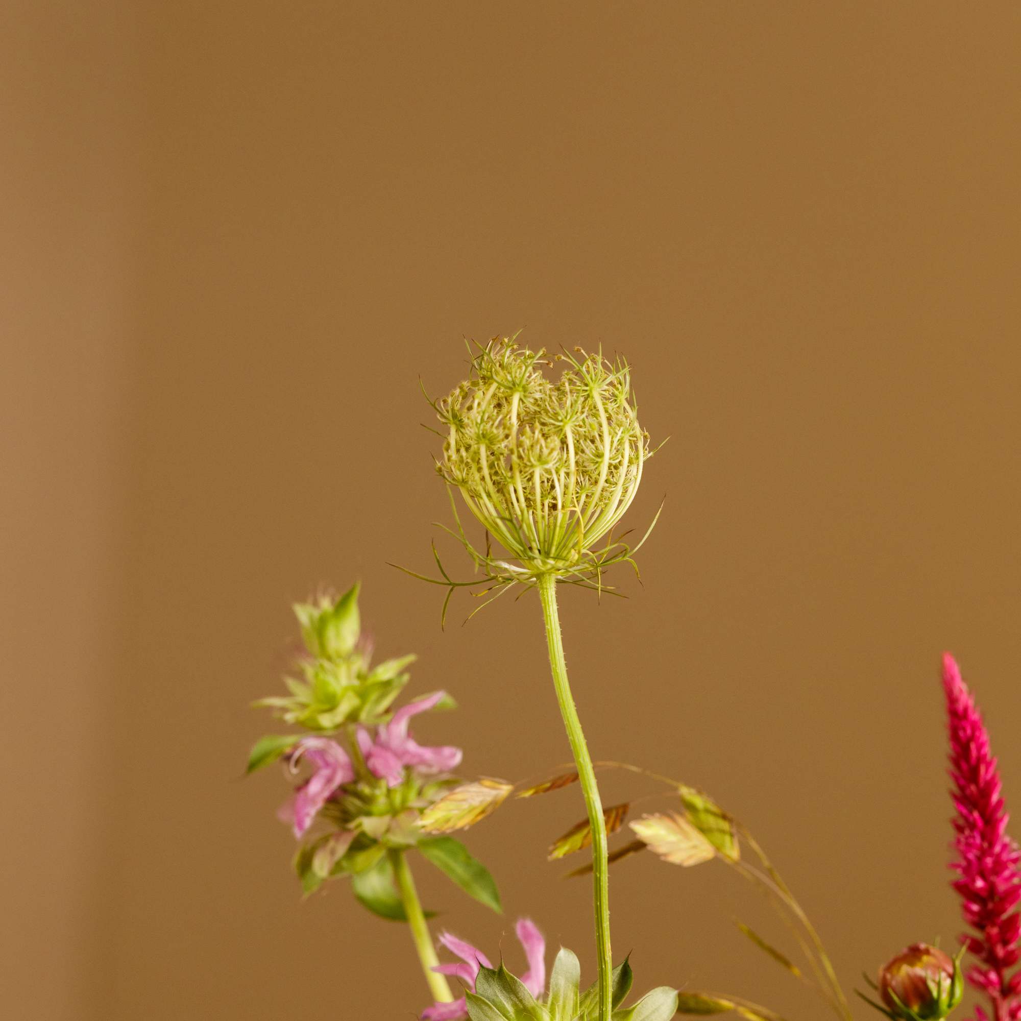 Mixed bouquet with orange, red, pink, and green flowers against a plain brown background