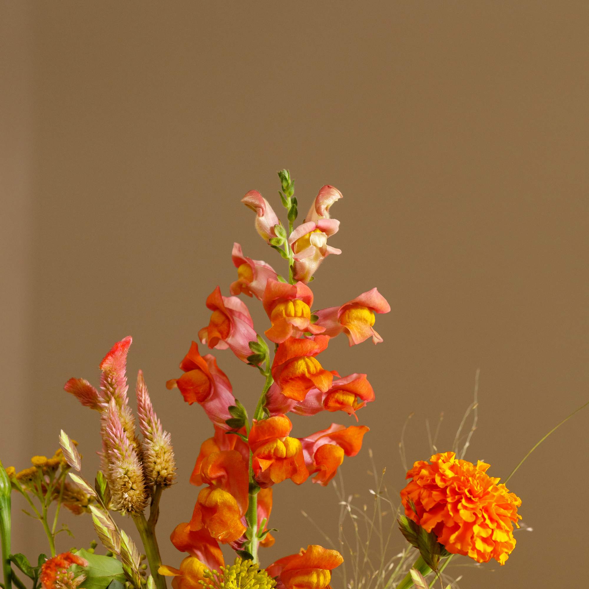 Orange and pink mixed flower arrangement with tall snapdragons and marigolds