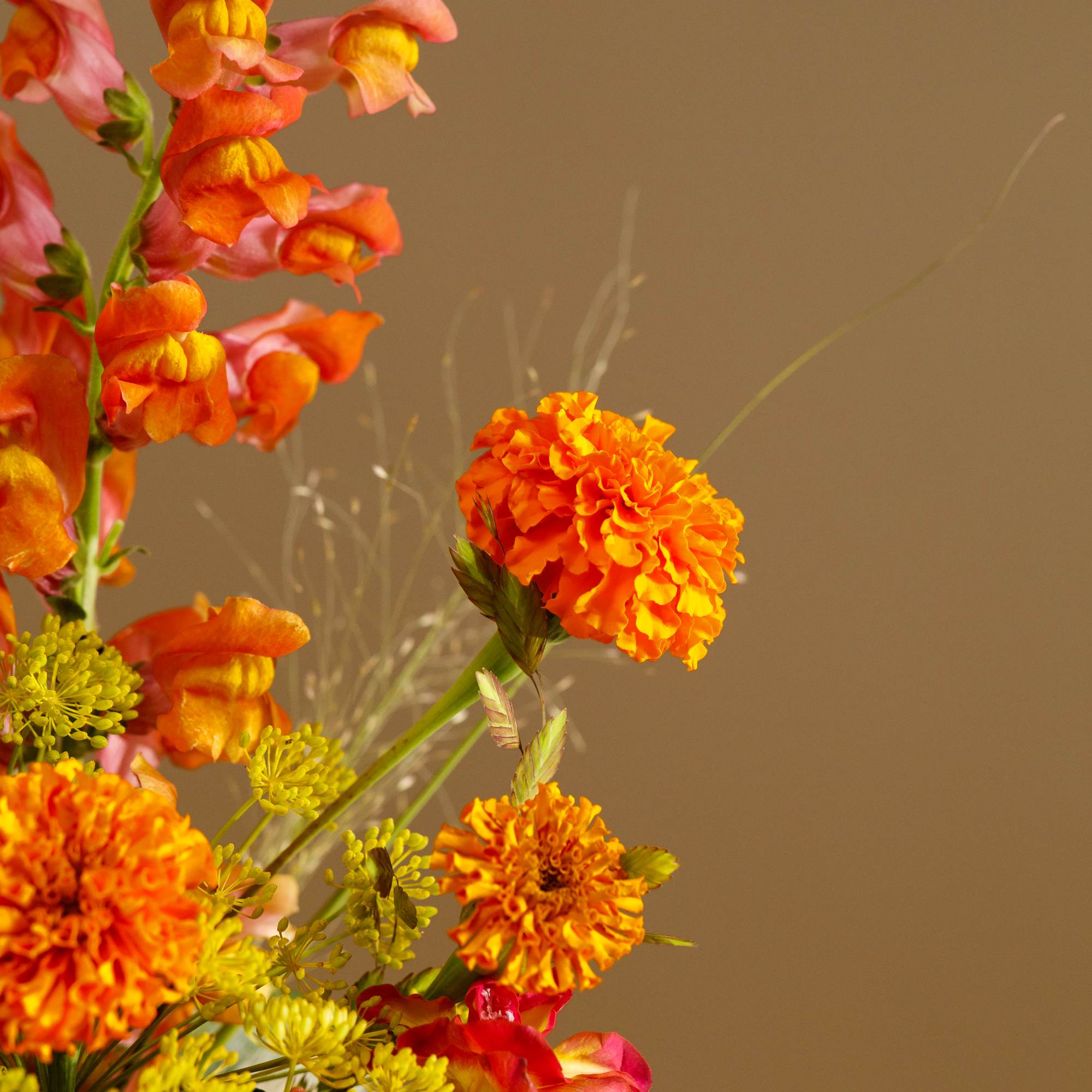 Orange and yellow flowers arranged against a plain tan background