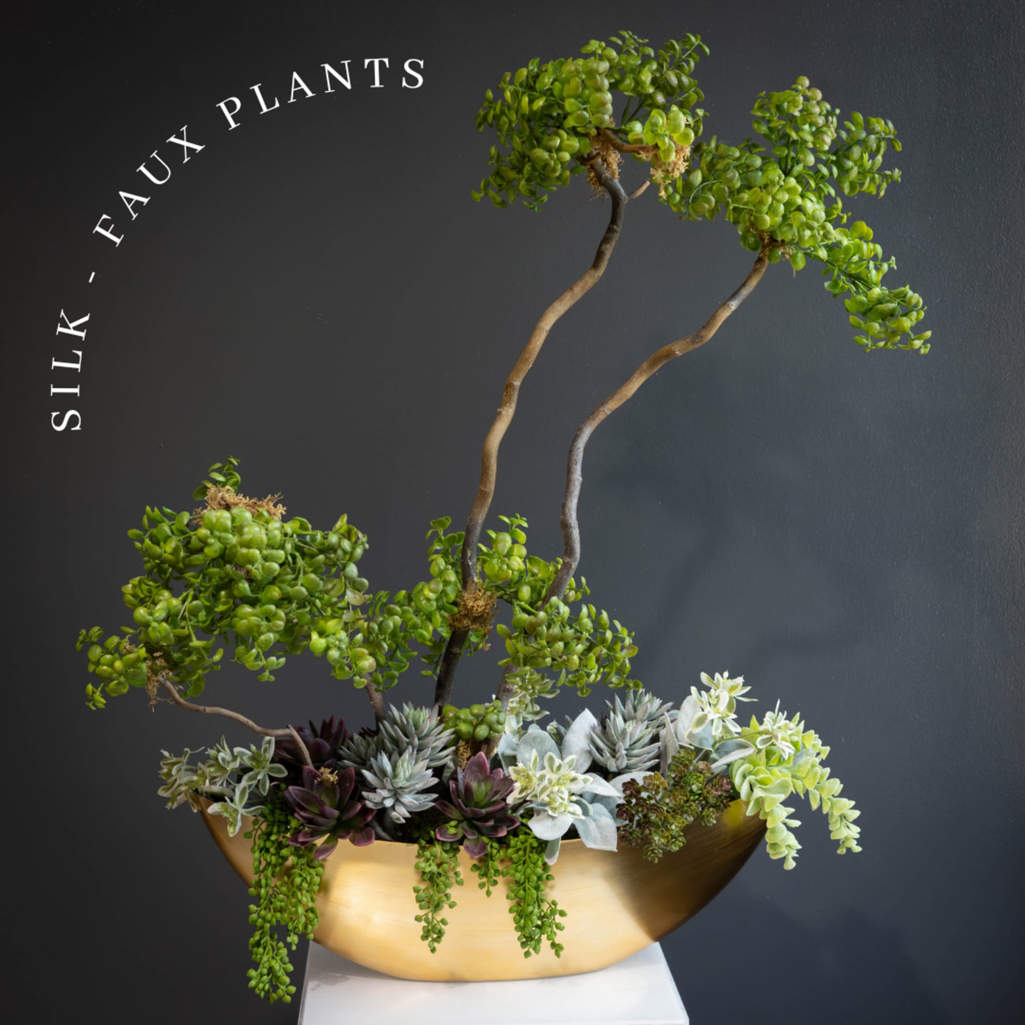 Succulent arrangement in a gold bowl with two tall bonsai-like plants