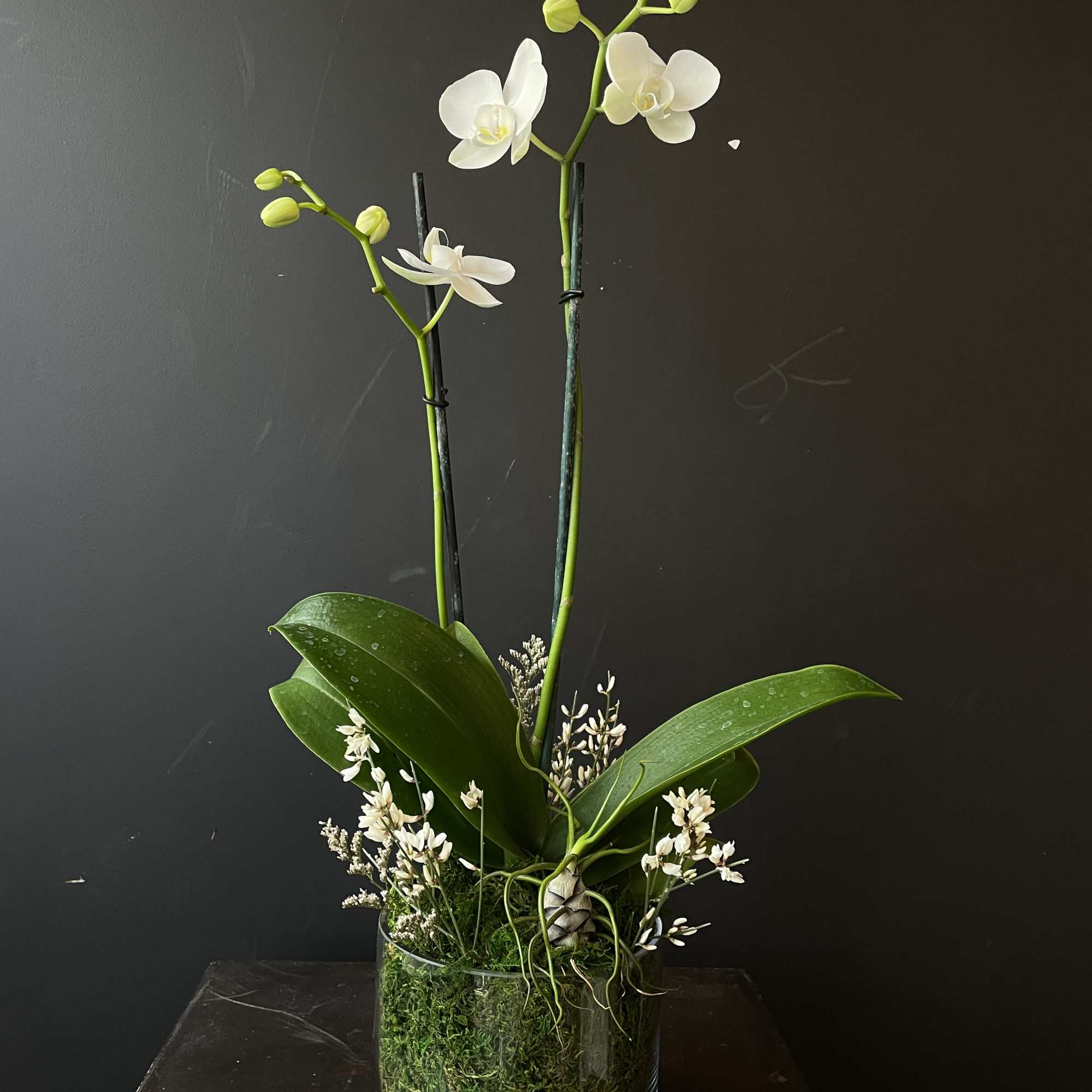 White orchid arrangement in a glass vase with moss