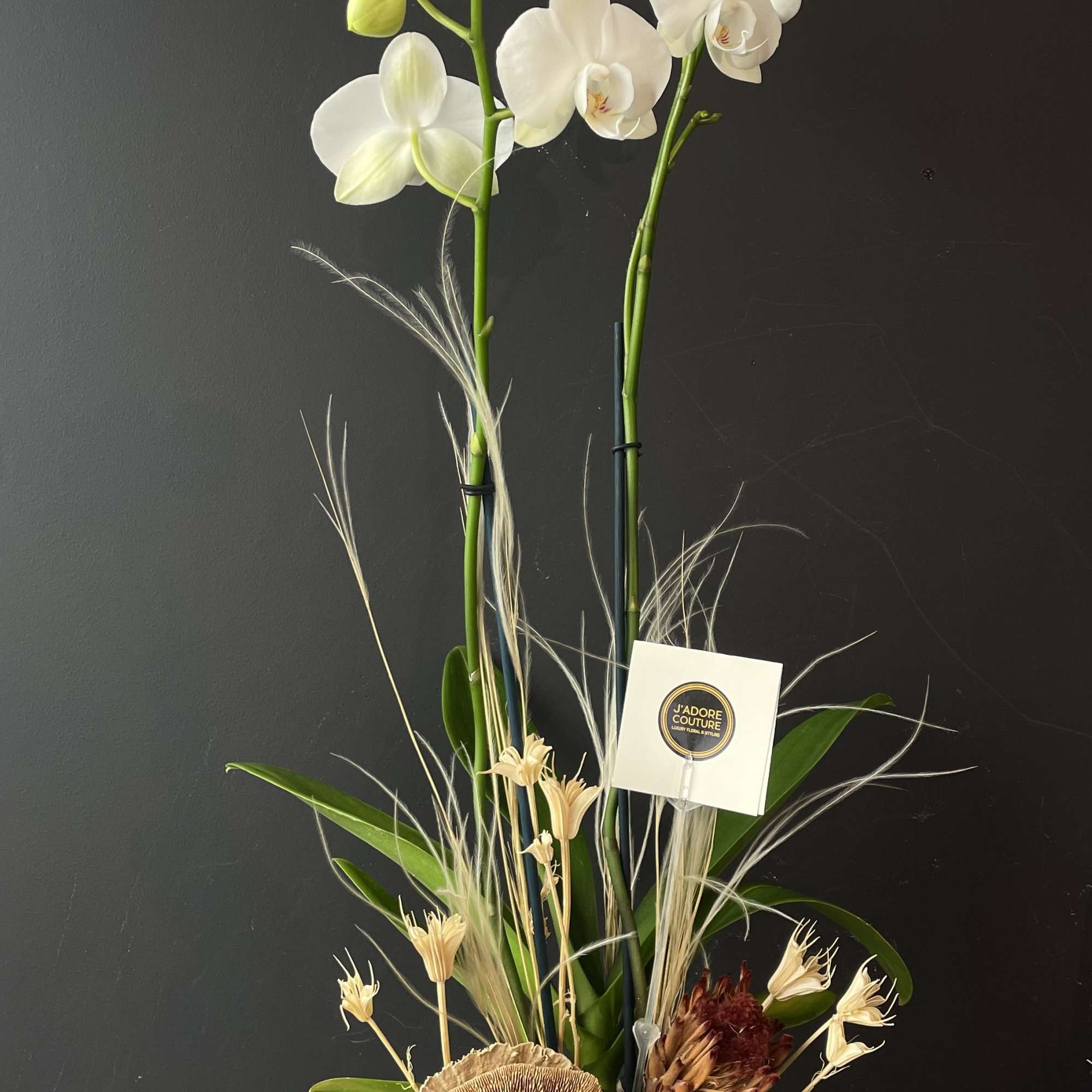 White orchids in a square glass vase with dried botanicals
