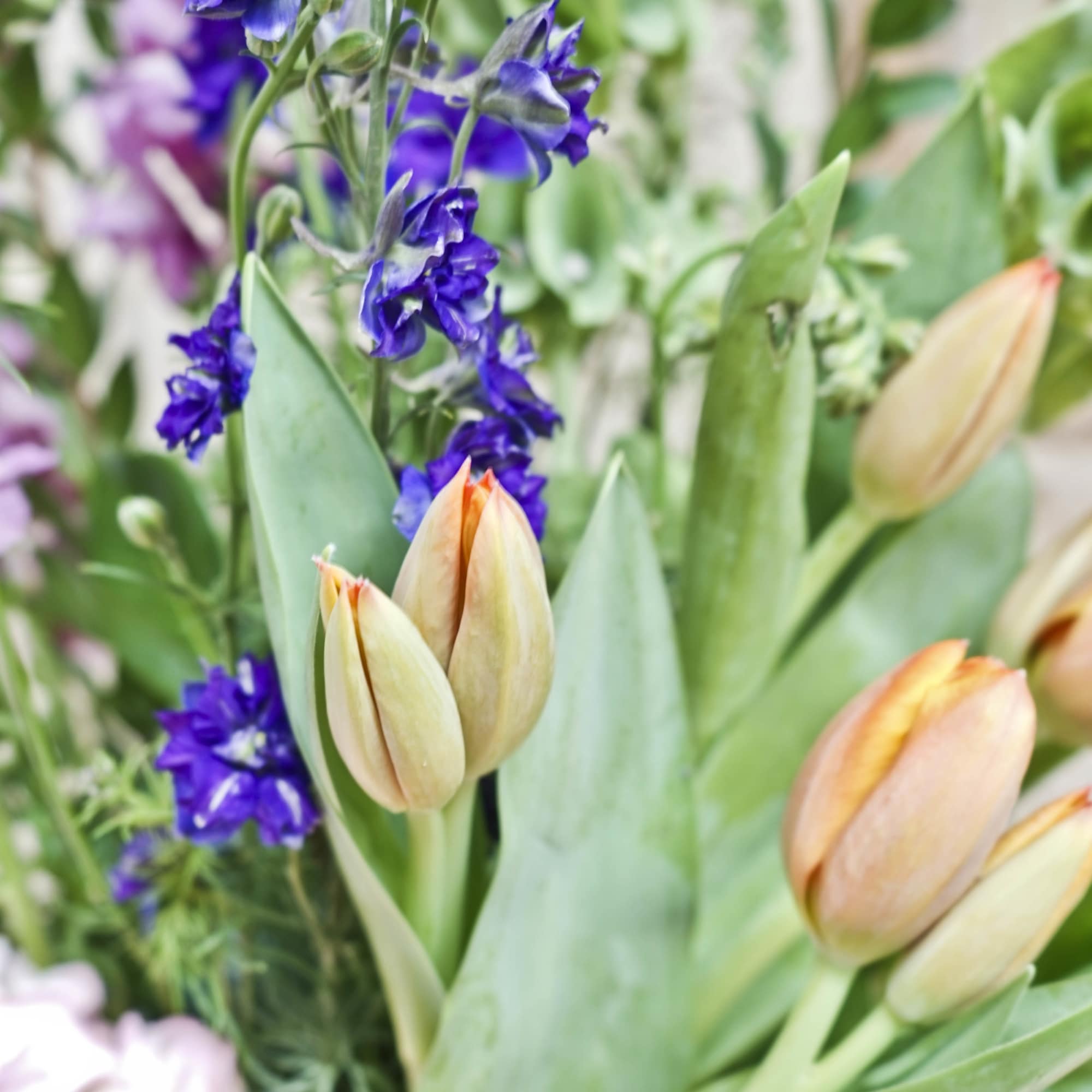 Peach tulips and purple flowers in a mixed bouquet