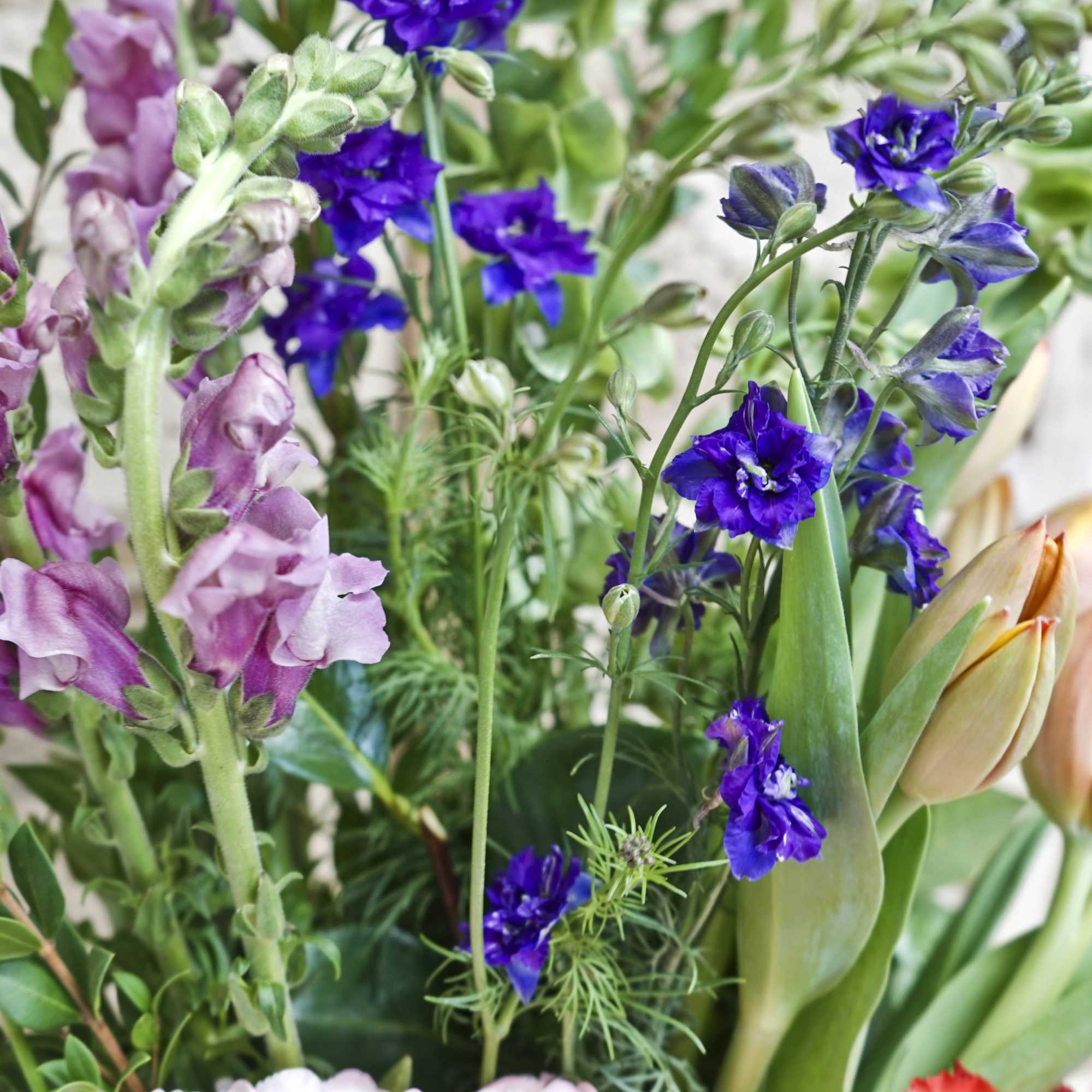 Bouquet of purple and pink flowers with tulips and tall spikes