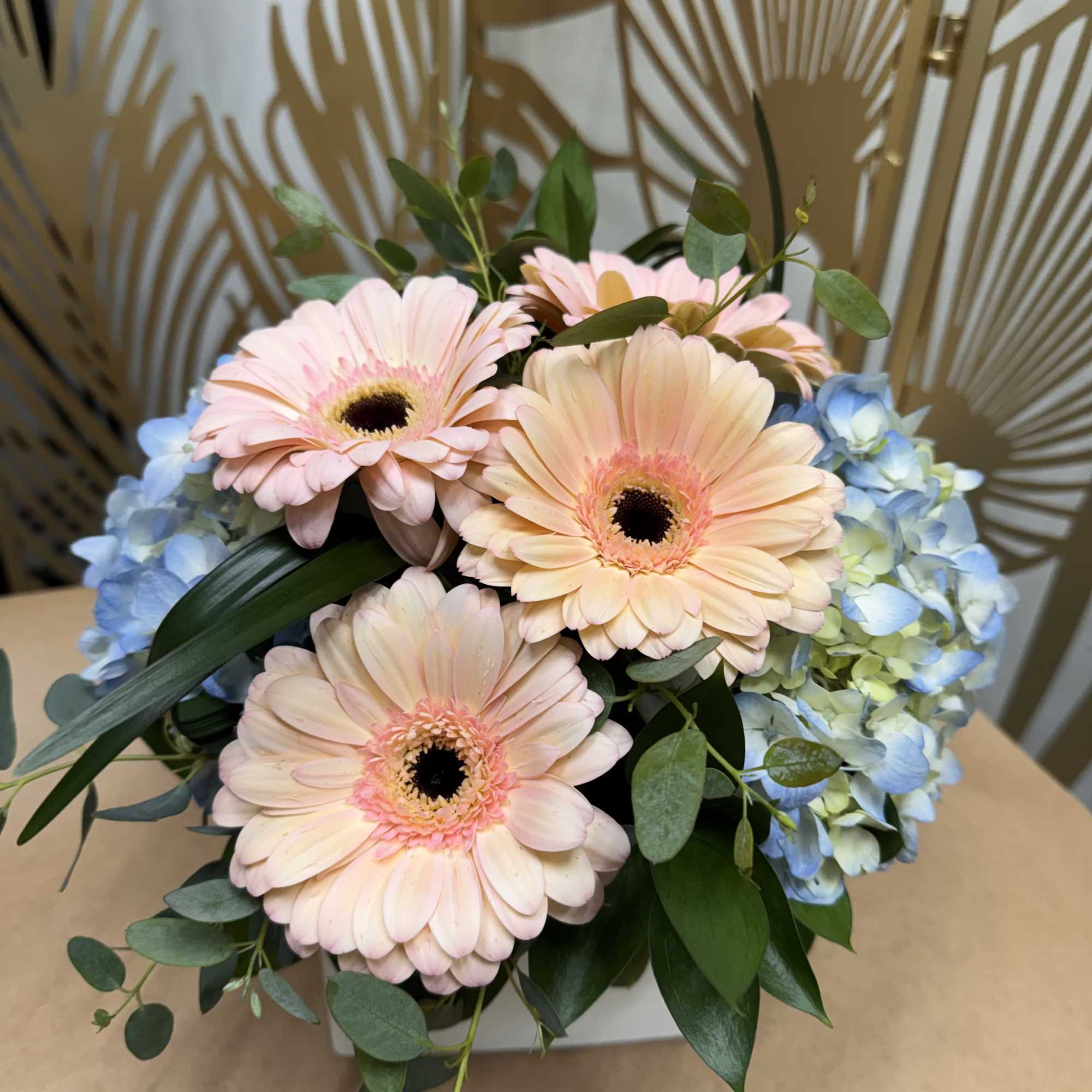 Pink gerbera daisies with blue hydrangeas in a white box