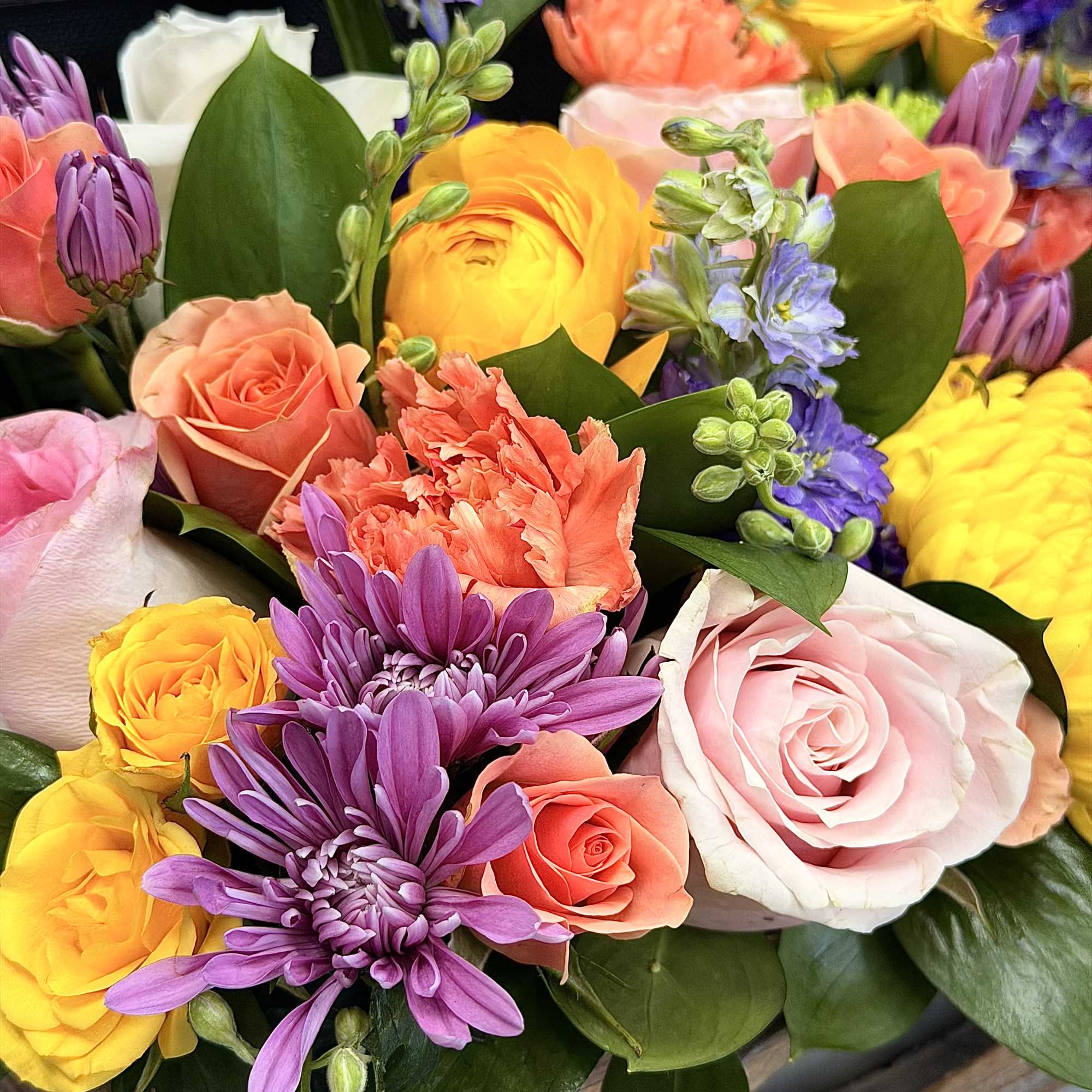 Mixed bouquet of roses, purple daisies, and coral carnations