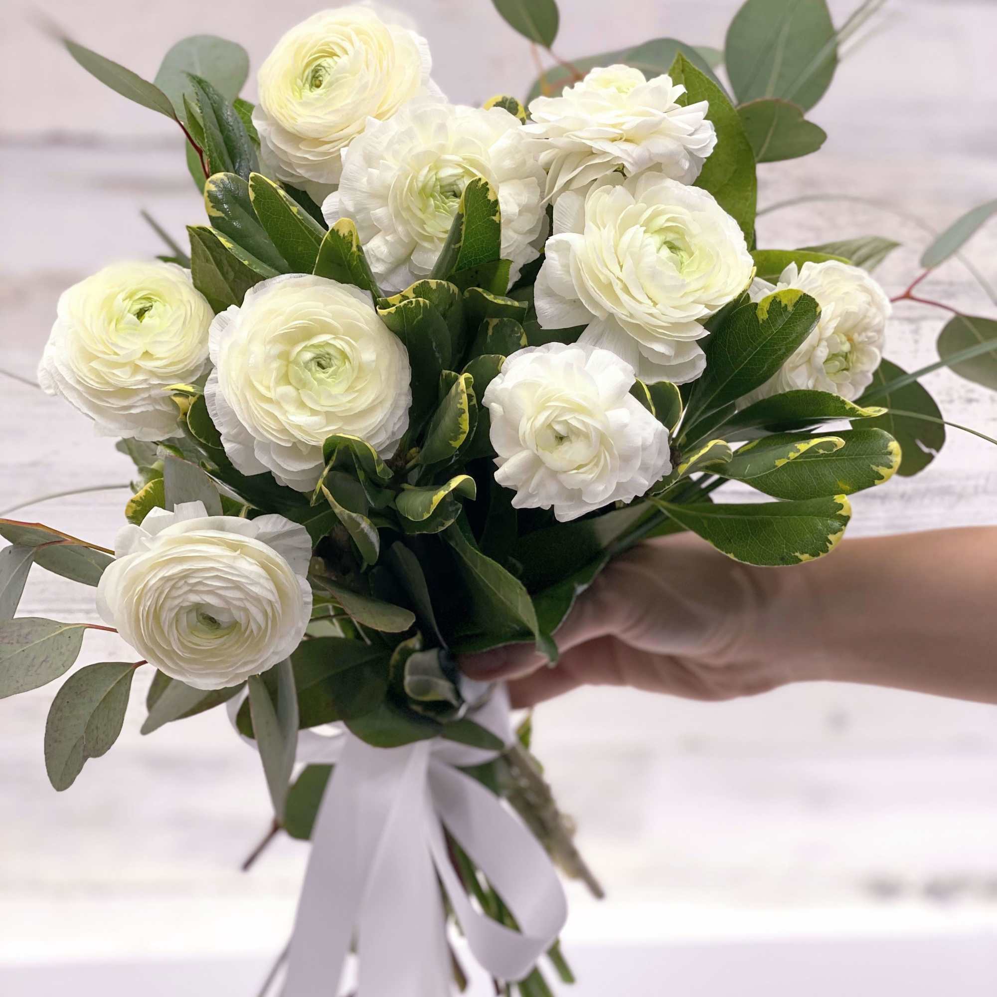 White ranunculus bouquet with greenery and a white ribbon