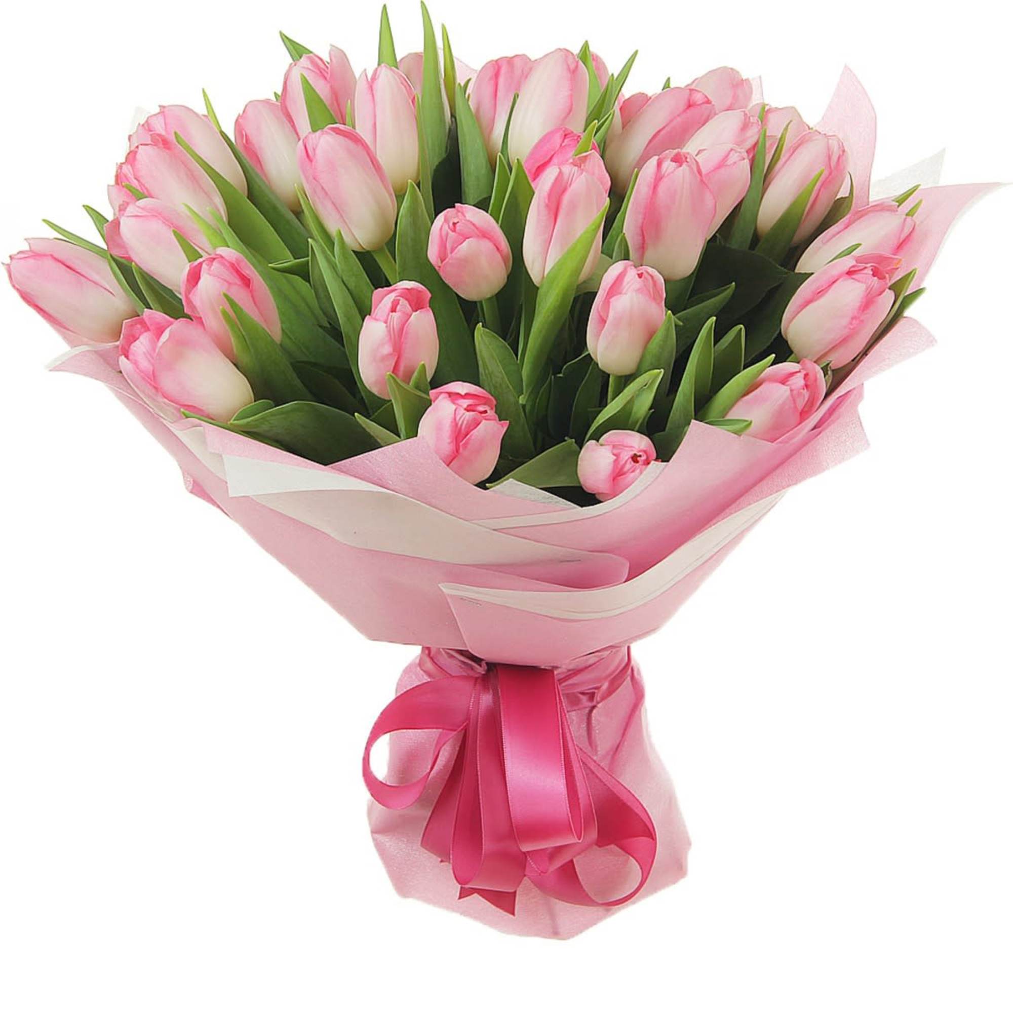 Bouquet of pink tulips wrapped in pink paper with a ribbon