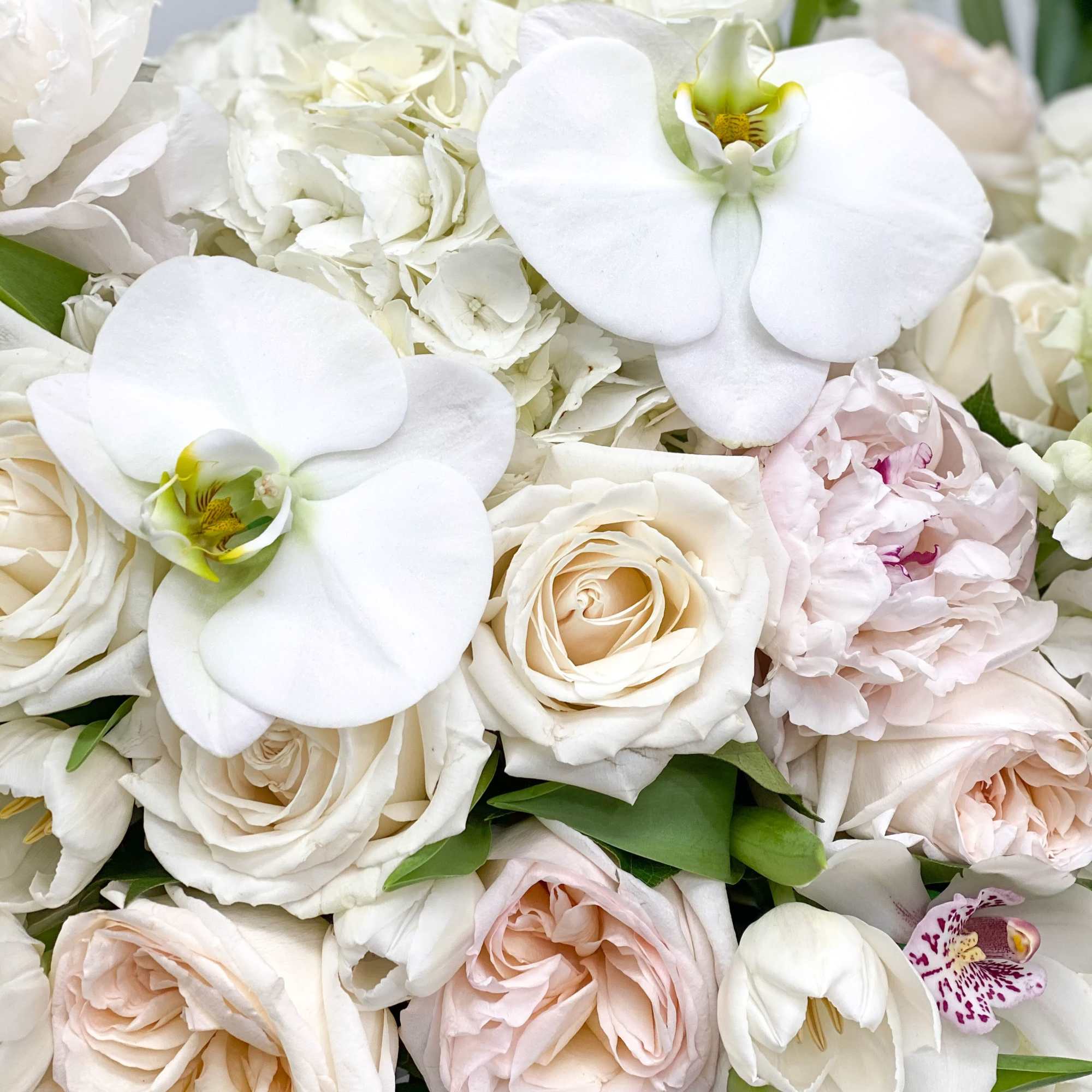 White orchids and cream roses in a close-up bouquet