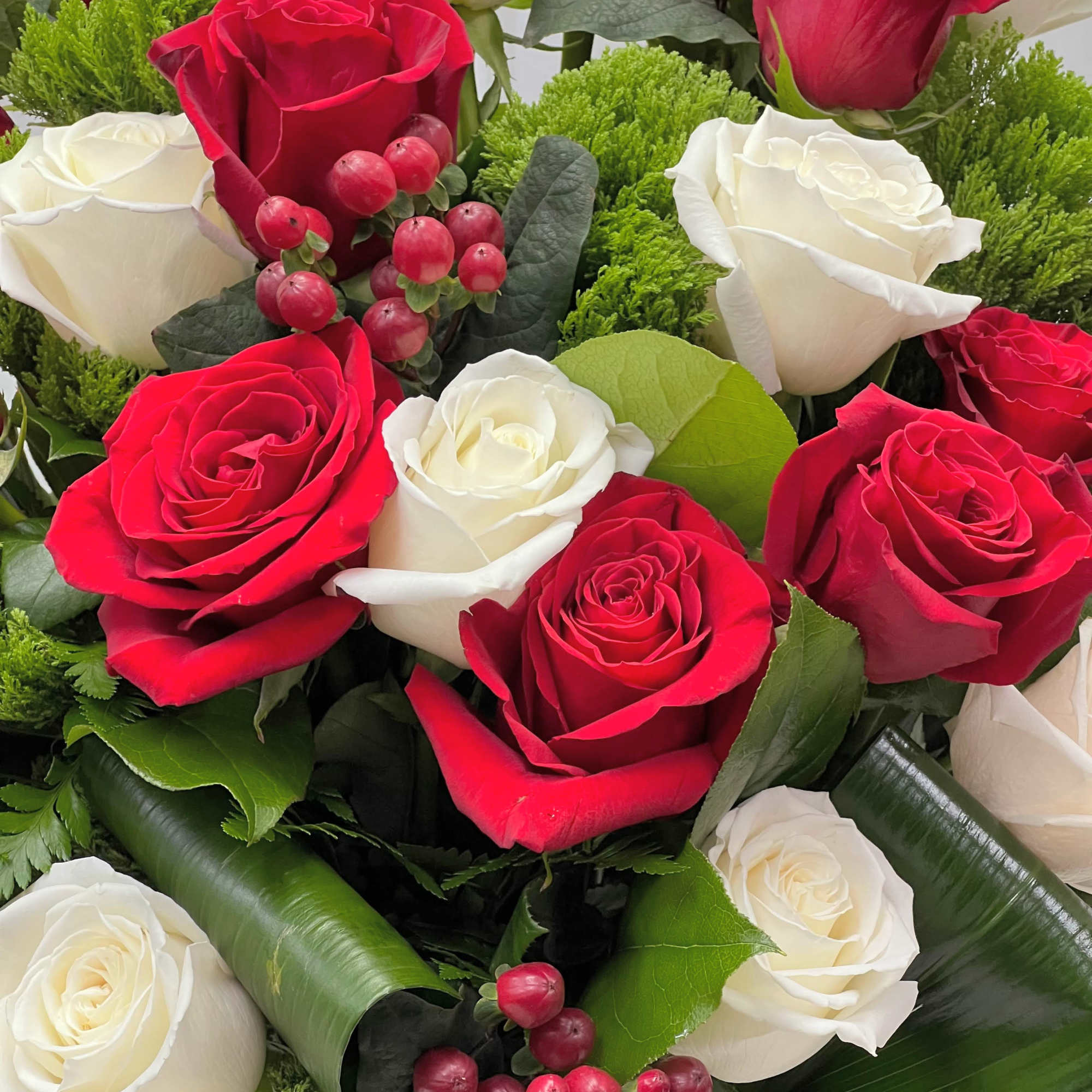 Bouquet of red and white roses with red berries and greenery