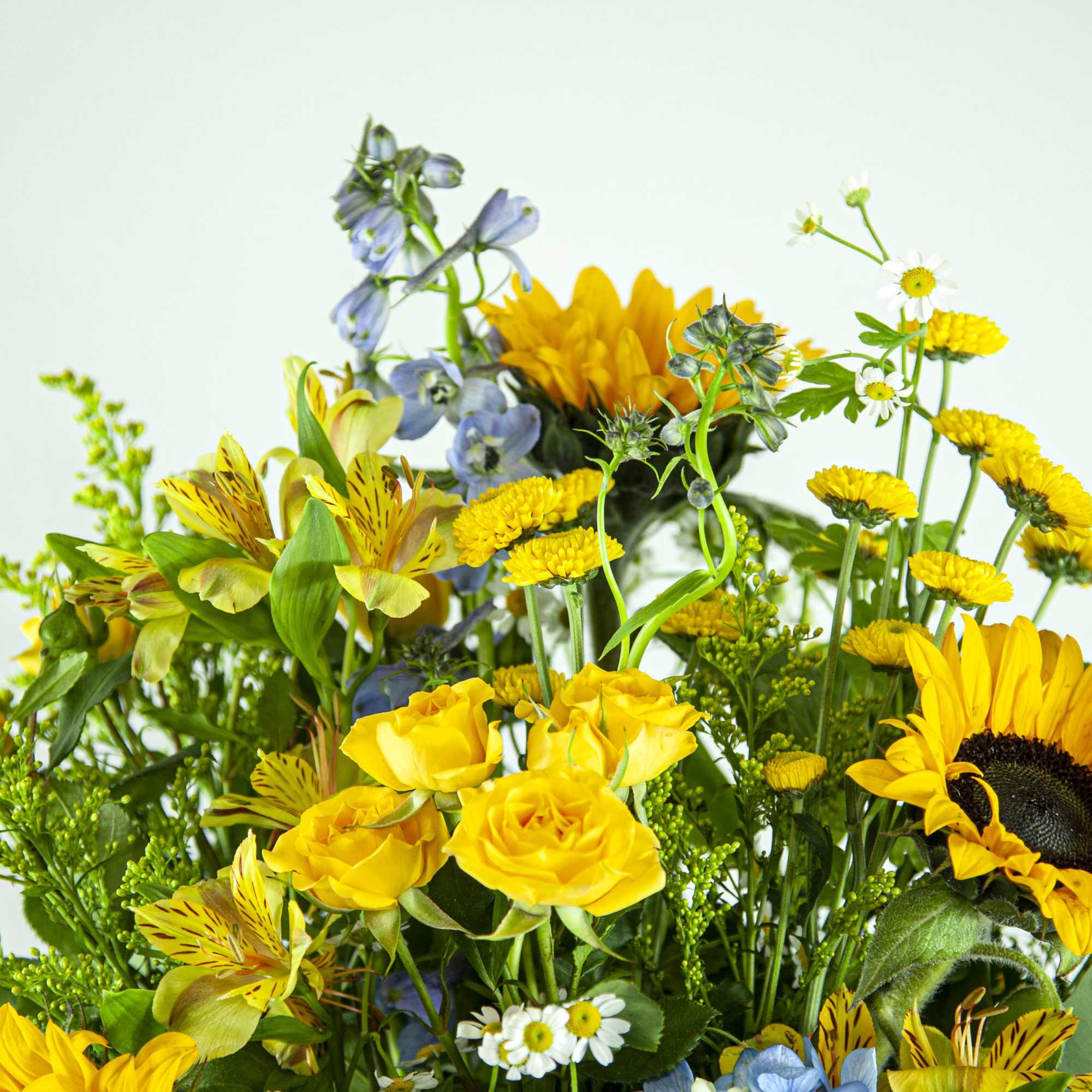 Mixed bouquet with yellow sunflowers and roses, blue flowers, and daisies
