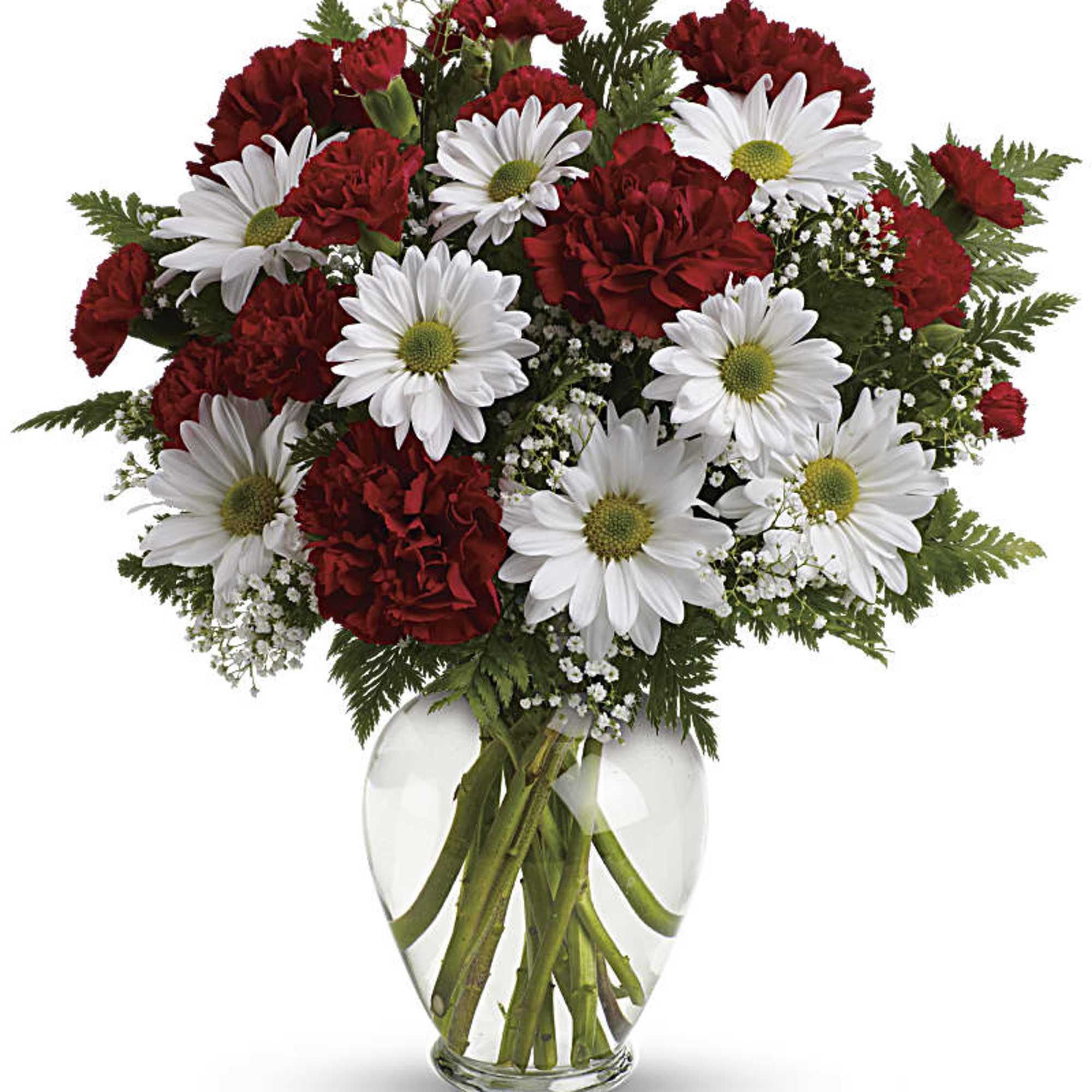 Red carnations and white daisies in a clear glass vase