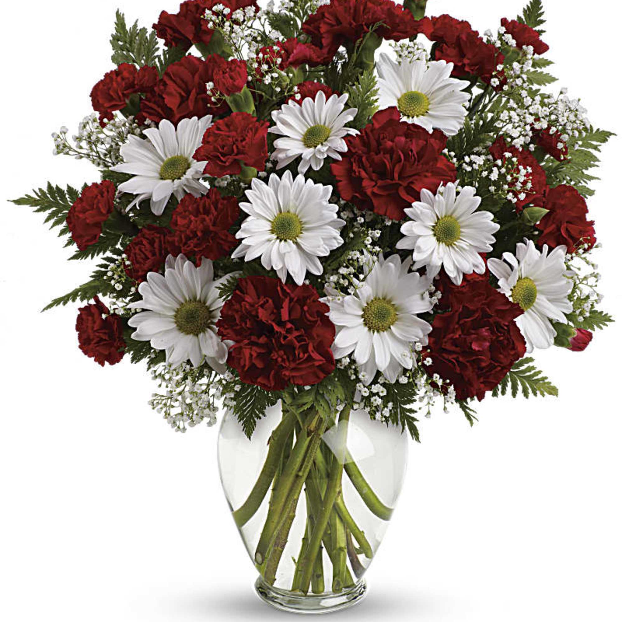 Red carnations and white daisies in a clear glass vase