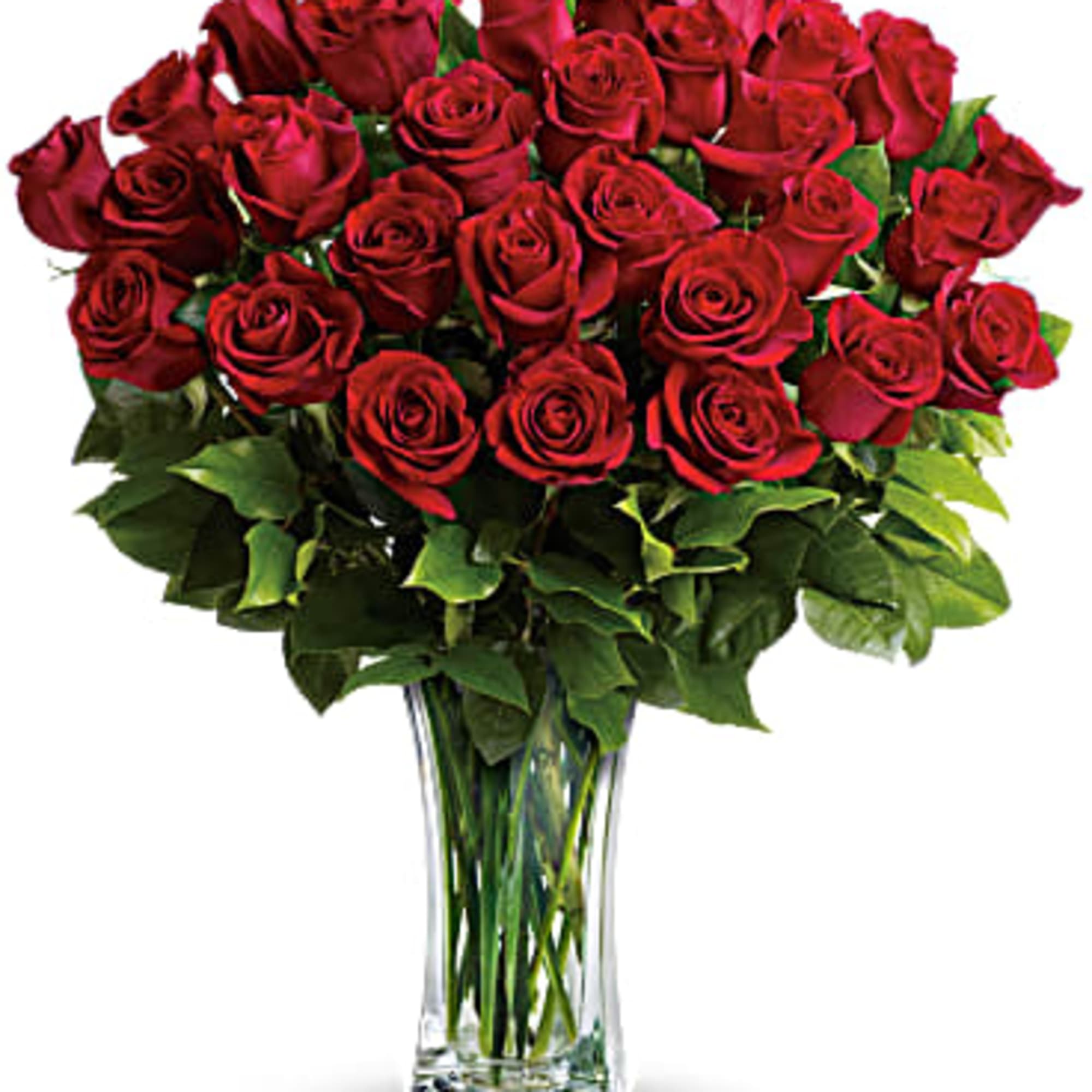 Bouquet of red roses in a clear glass vase