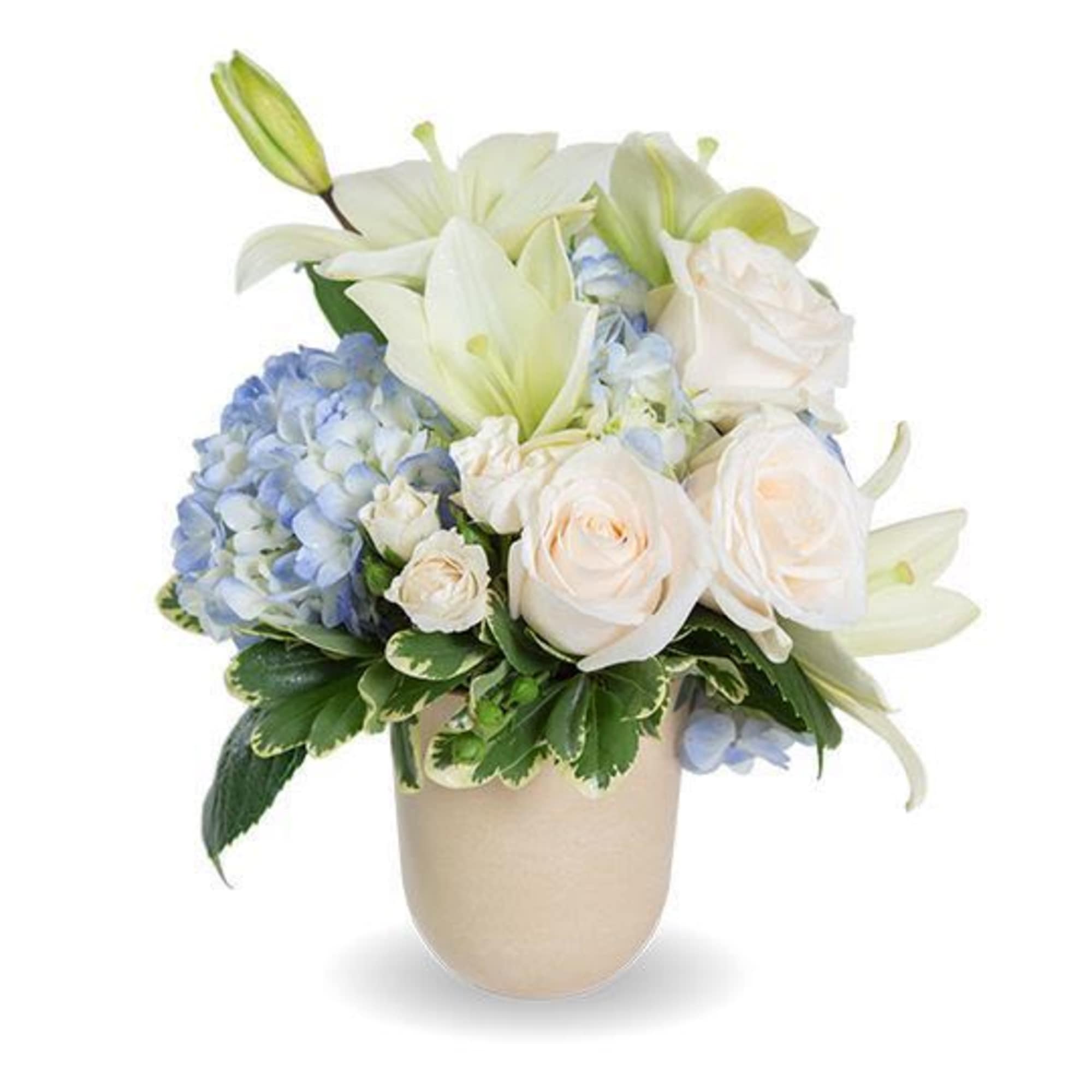 Elegant flowers convey heartfelt sympathy
Soothing, beautiful blooms to honor obituary's spirit
We support