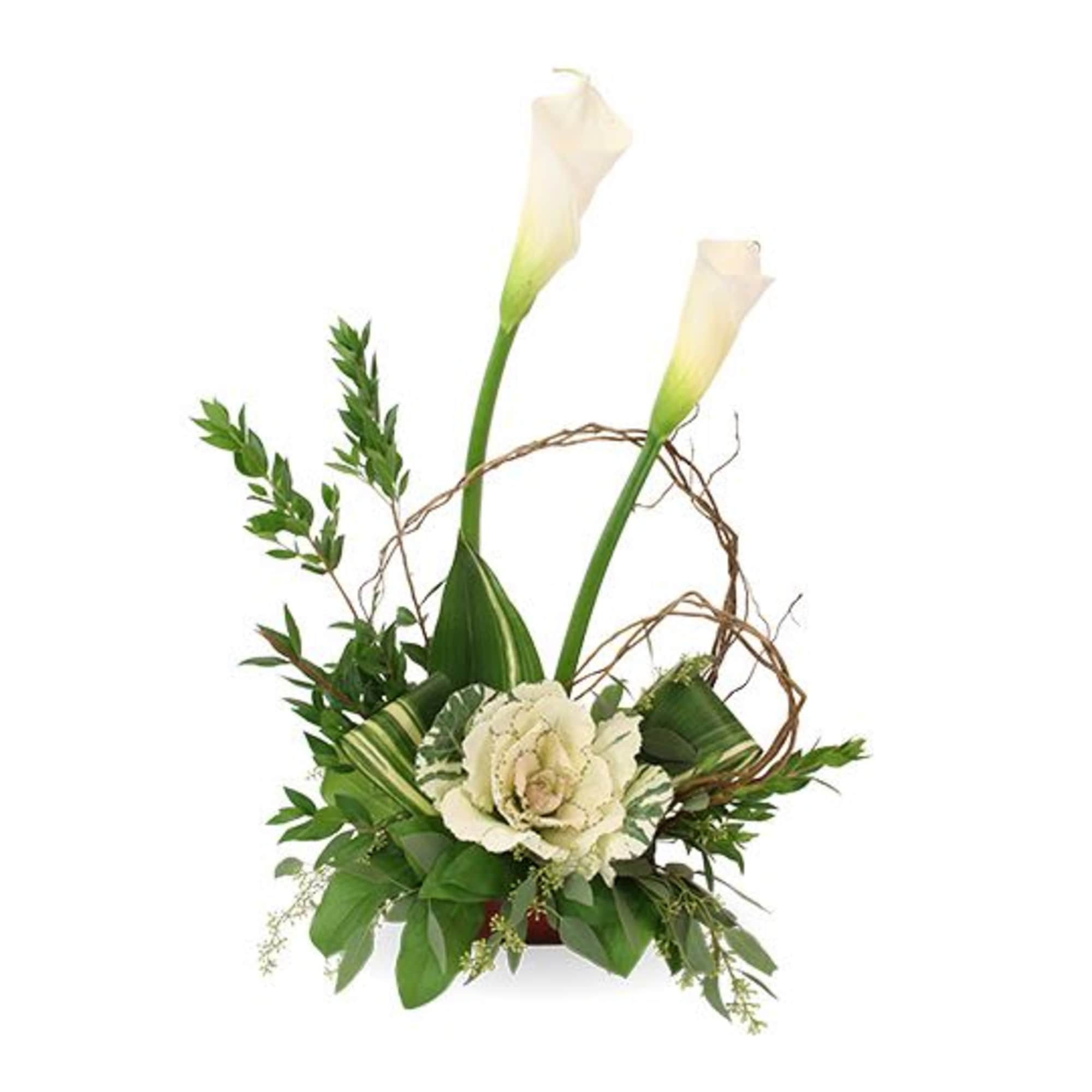 Elegant flowers convey heartfelt sympathy
Soothing, beautiful blooms to honor Gloria's spirit
We support
