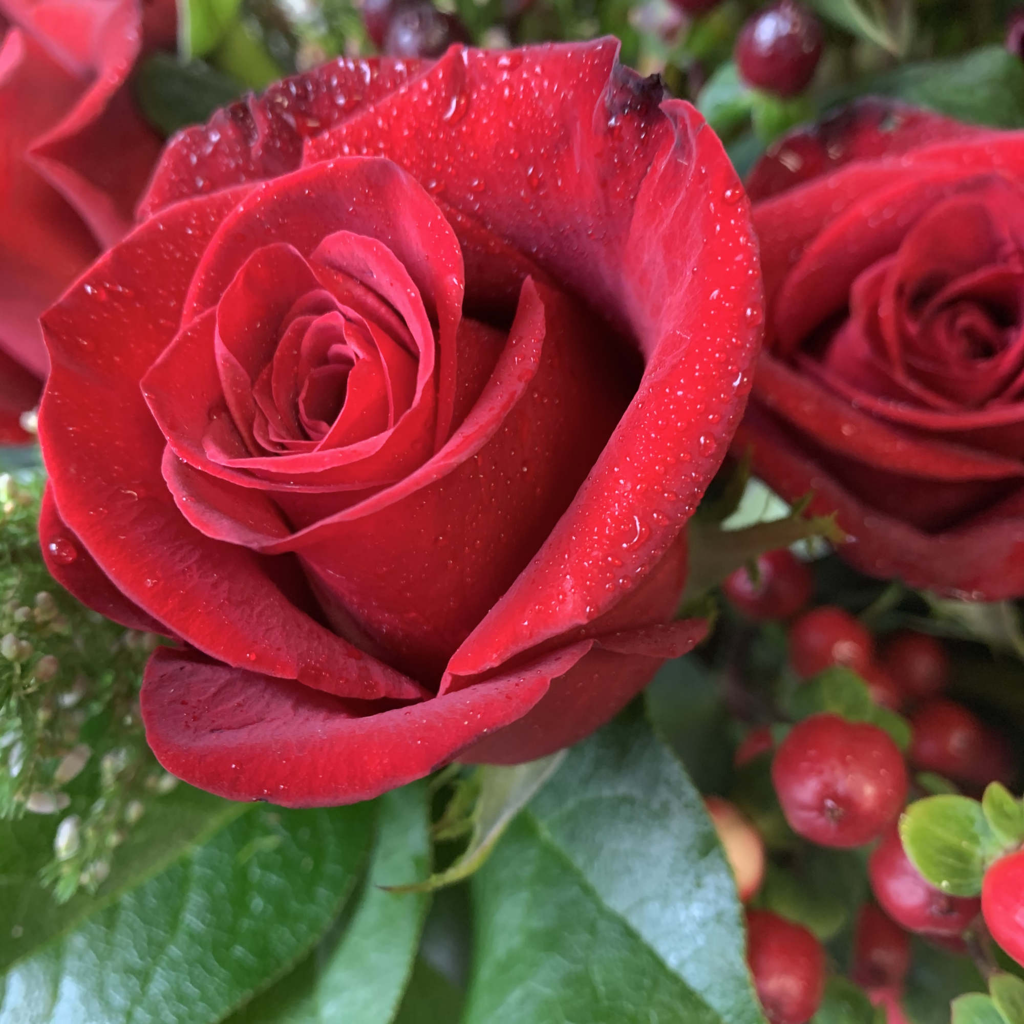 These red roses with hypericum and eucalyptus are classic! A perfect traditional, photo 2 of 2