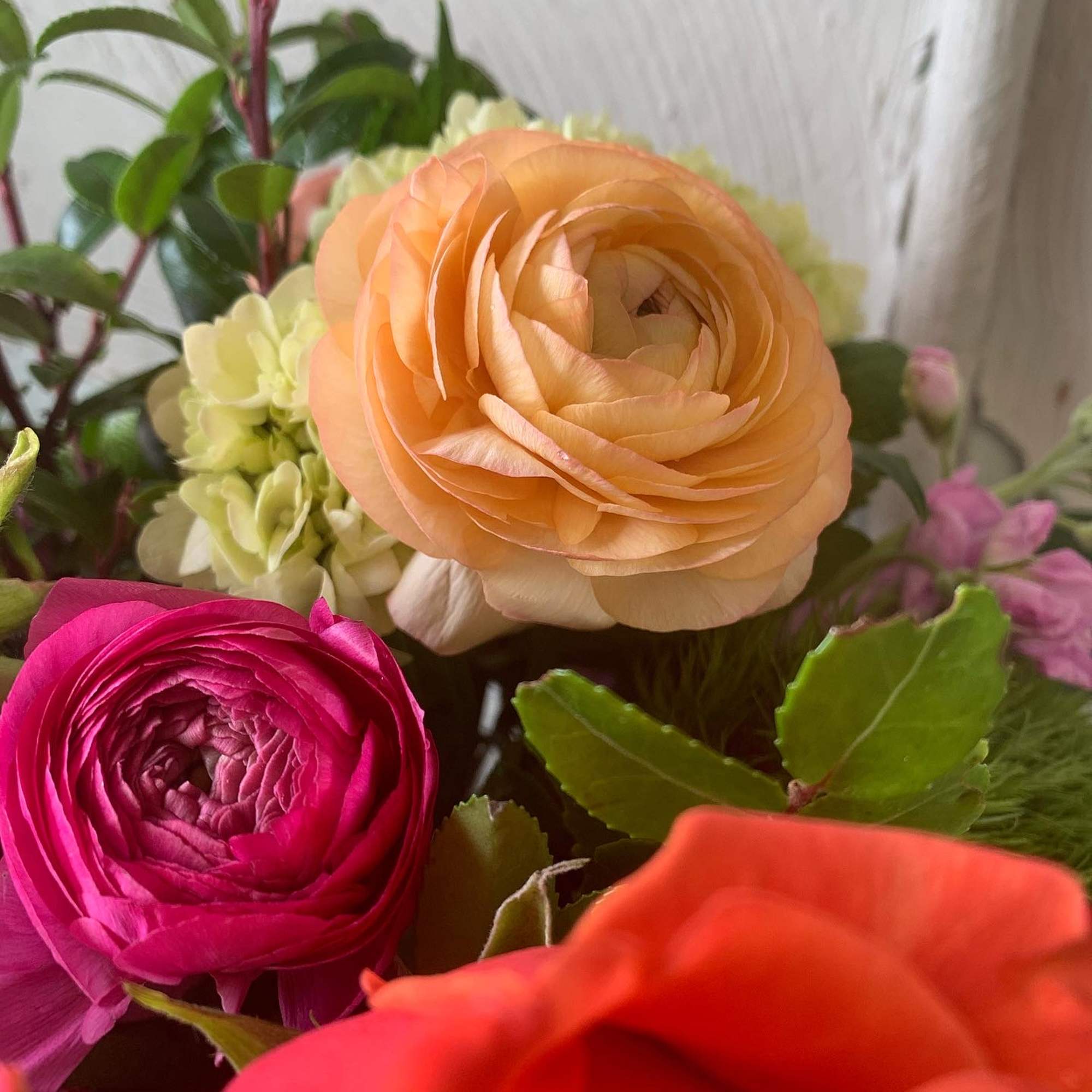 Close-up bouquet of peach, pink, and orange flowers
