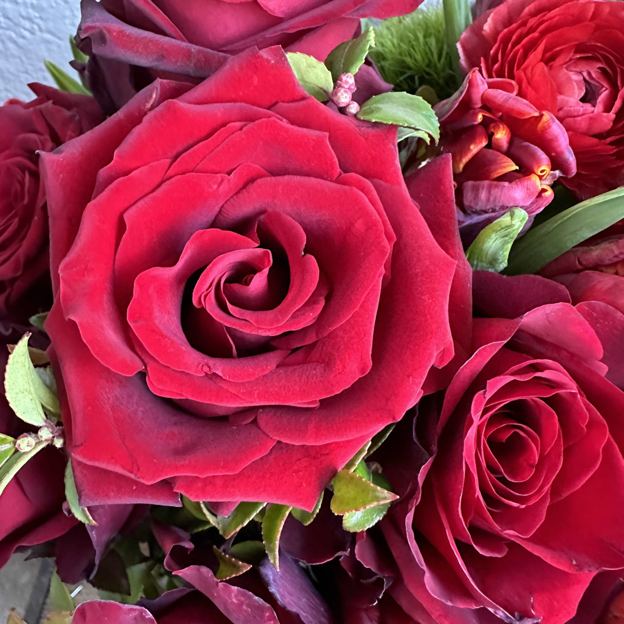 Close-up bouquet of deep pink roses