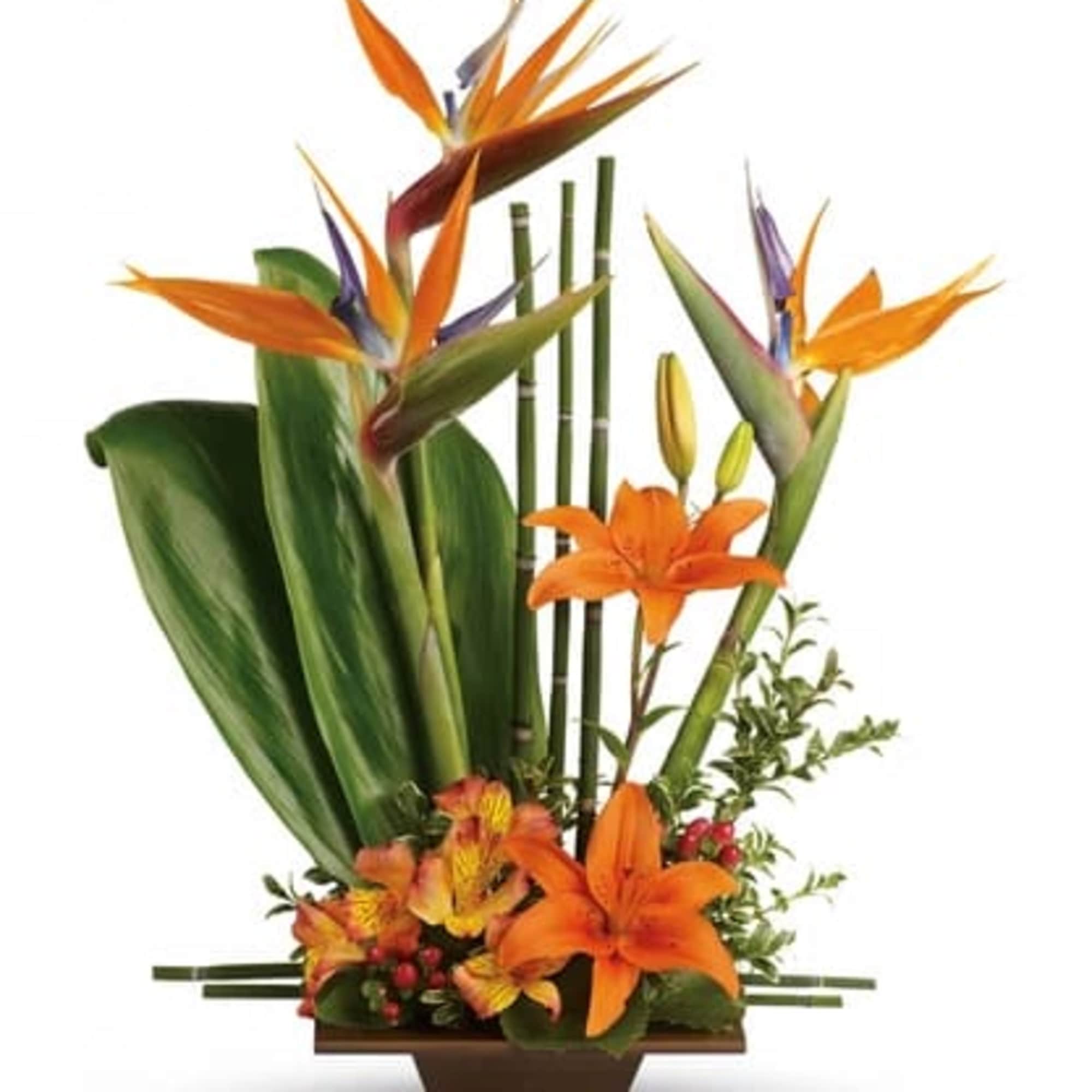Tropical flower arrangement with orange bird-of-paradise and lilies in a rectangular vase