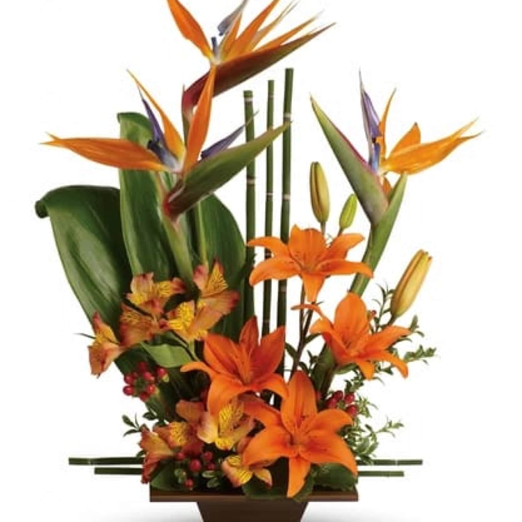 Orange bird of paradise and lilies in a low brown container